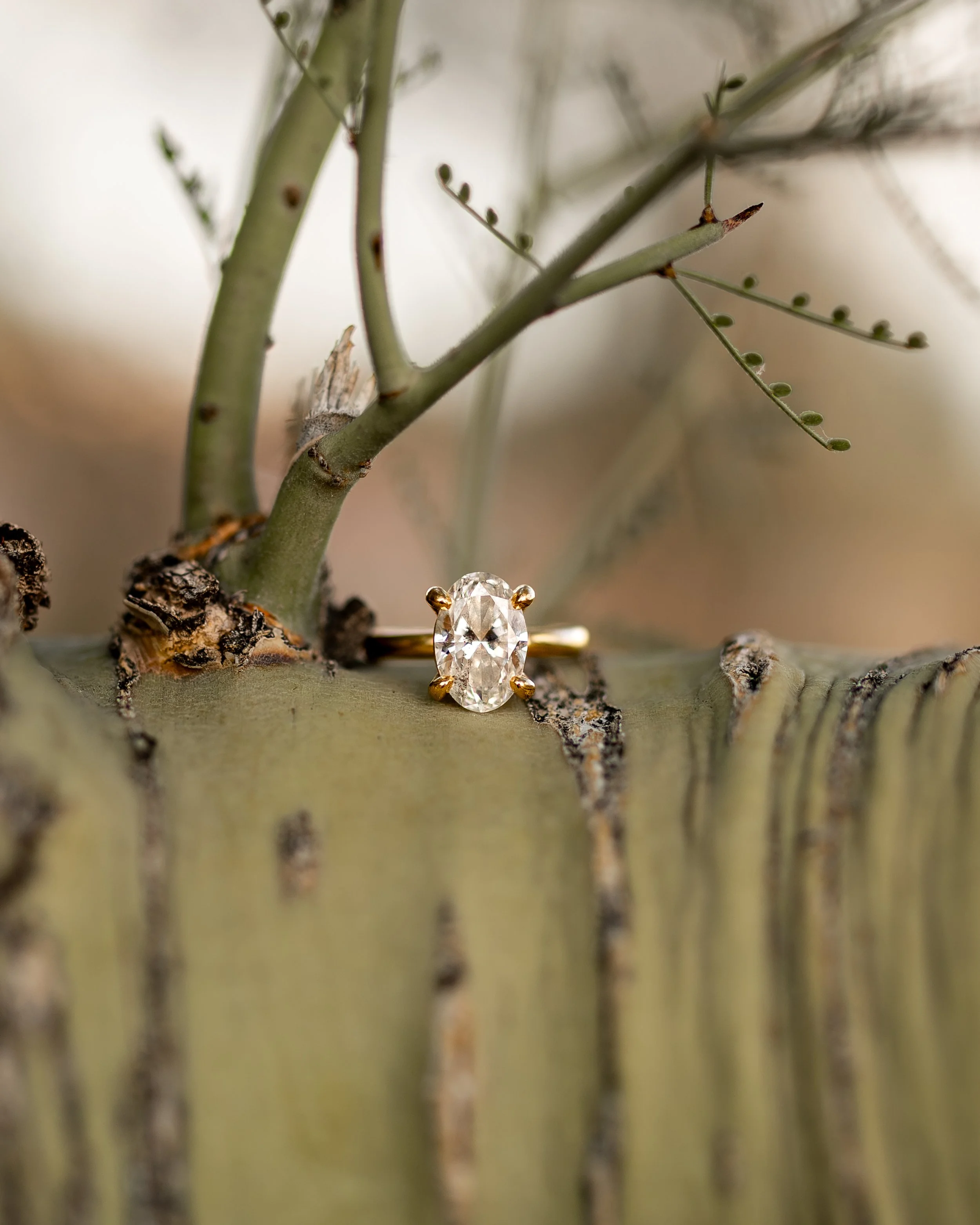 Bianca&Sean_Engagement_34.jpg