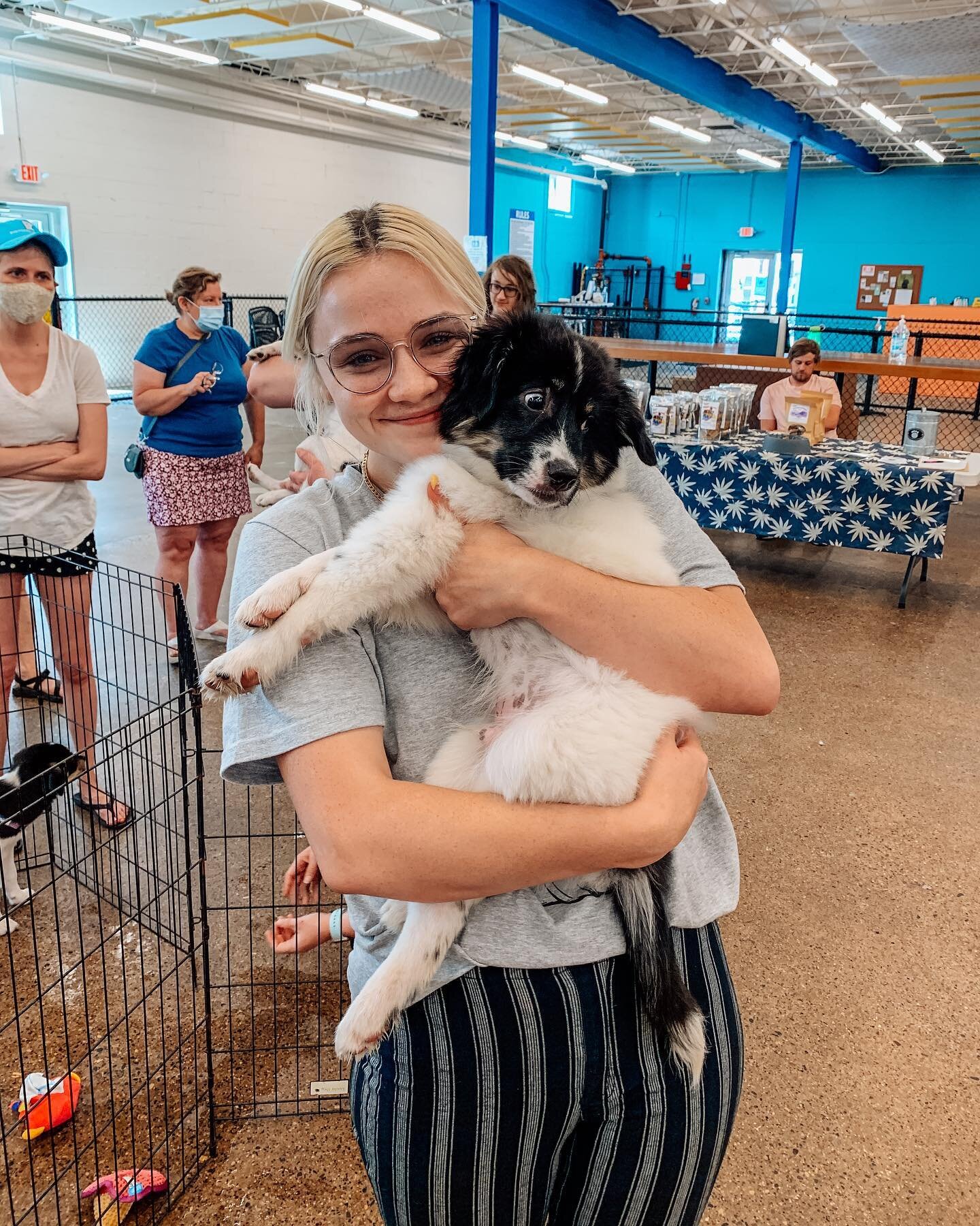 Are you in the market to adopt a fur baby?? &hellip;We have two different rescues joining us this weekend for you to check out! 😍

Saturday 7/10: @adopt_a_husky_mn will be bringing FOUR huskies who need loving families! 💕💕

Sunday 7/11: @greyfacer