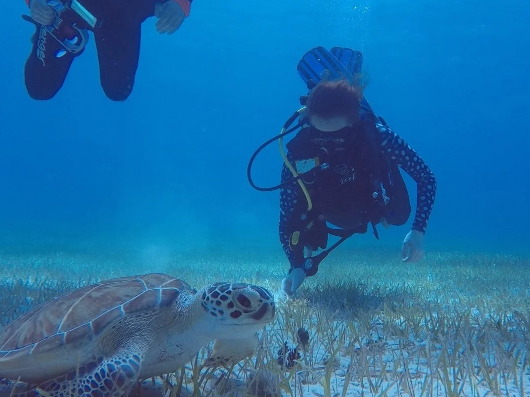 A woman scuba dives next to a sea turtle