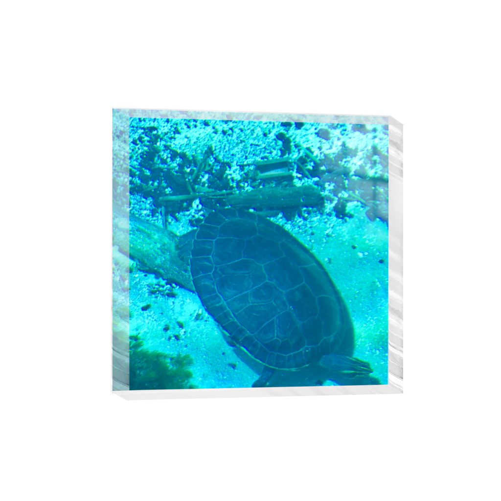 acrylicdesktopprint_square_0_928_3712_3712_0_false_ffffff_0_0.png