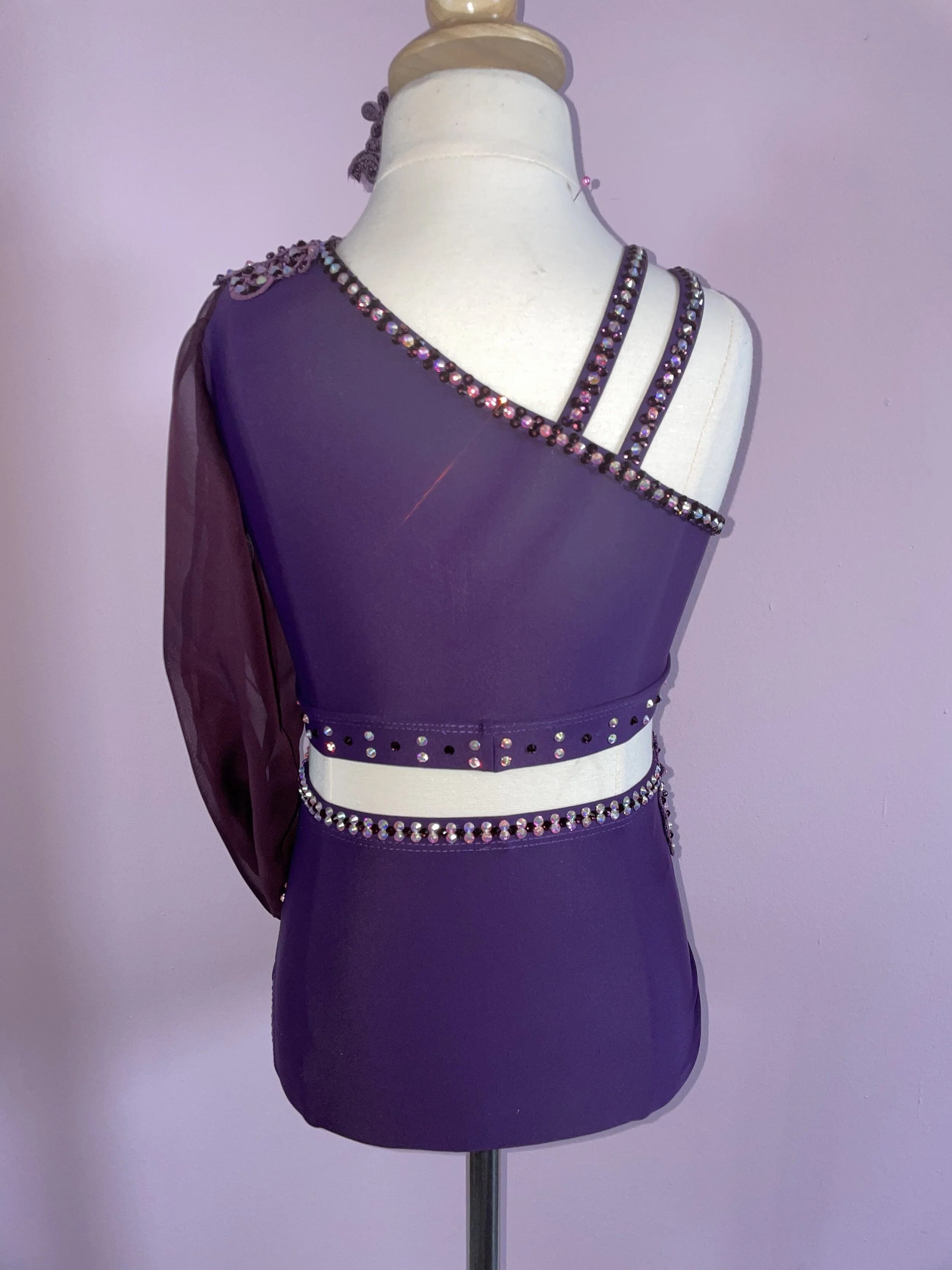 Custom Dance Costume Lyrical Contemporary Purple 2 Piece with Chiffon Sleeve Elite Custom Costumes Custom Dance Costume Lyrical Contemporary Purple 2 Piece with Chiffon Sleeve Elite Custom Costumes