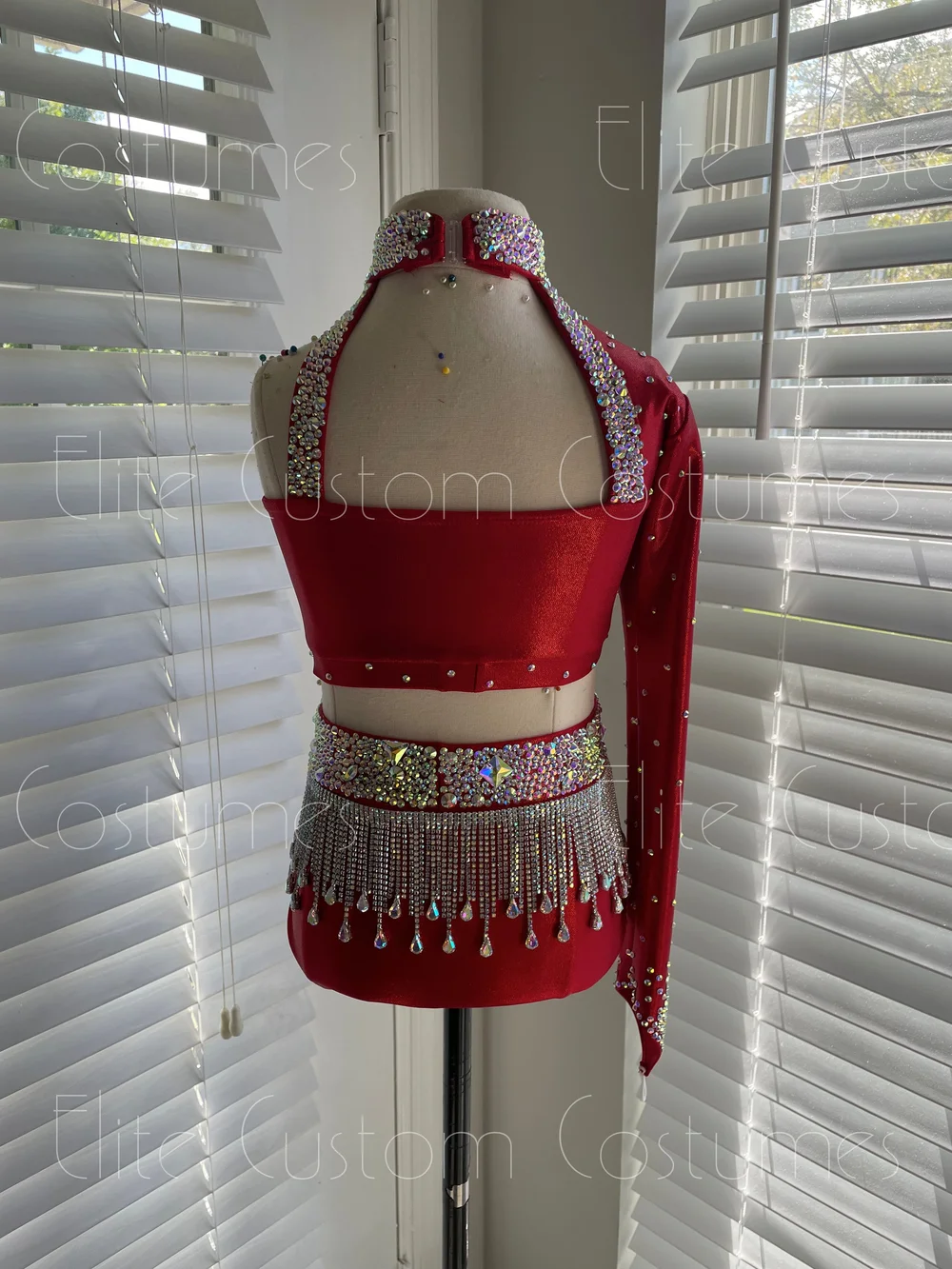 Custom Dance Costume Sassy Jazz Musical Theater Red Metallic 2 Piece with  Sleeve AB Fringe  Elite Custom Costumes