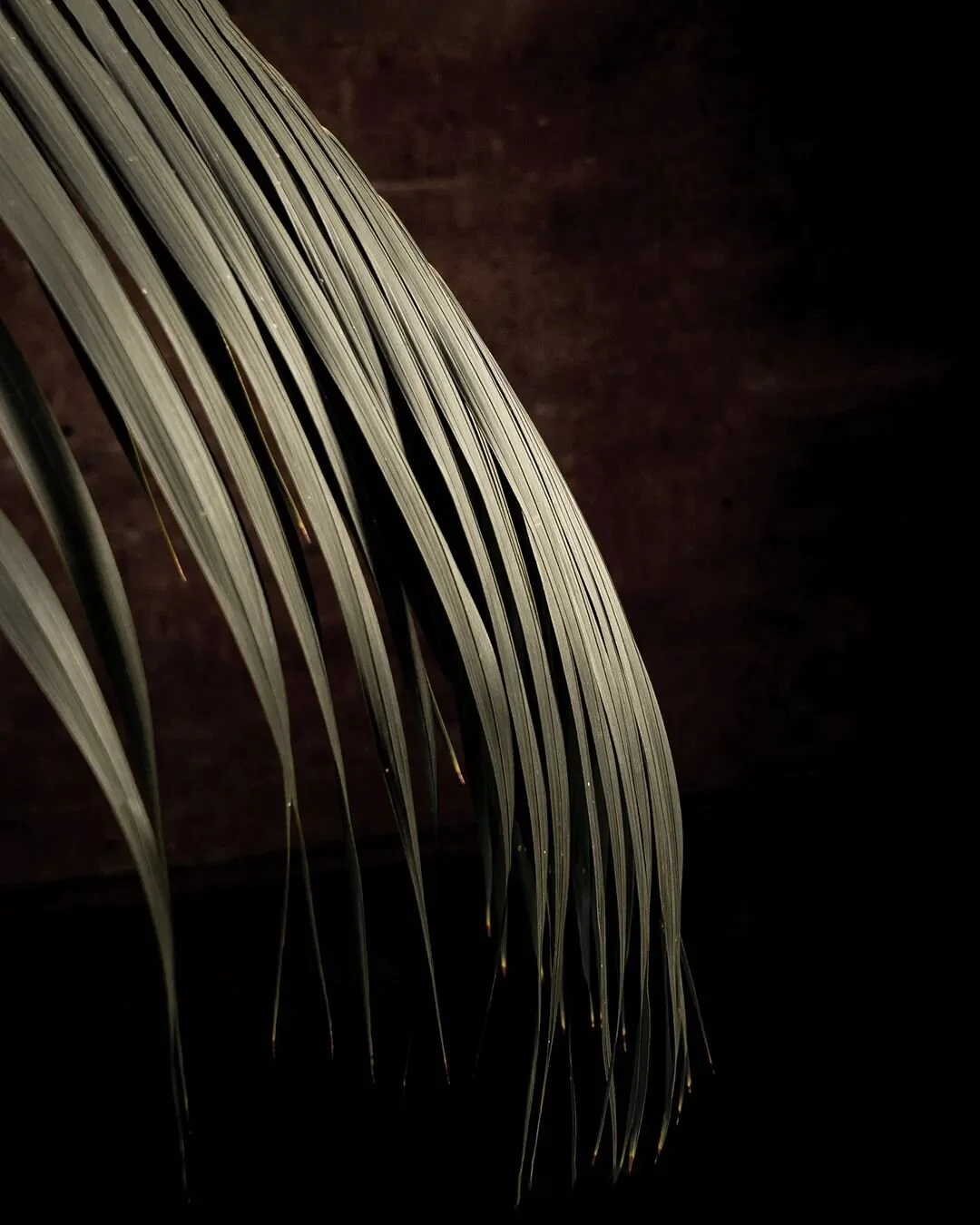 Explore secret spaces. #CasaSilencio #ElSilencio
•
•
•
•
•
•
#oaxaca #mexico #mezcal #tequila #agave #agavelove #mezcallovers #alcohol #spirits #craftspirits #distillery #distillerytour #palenque #mezcaleria #sustainabil