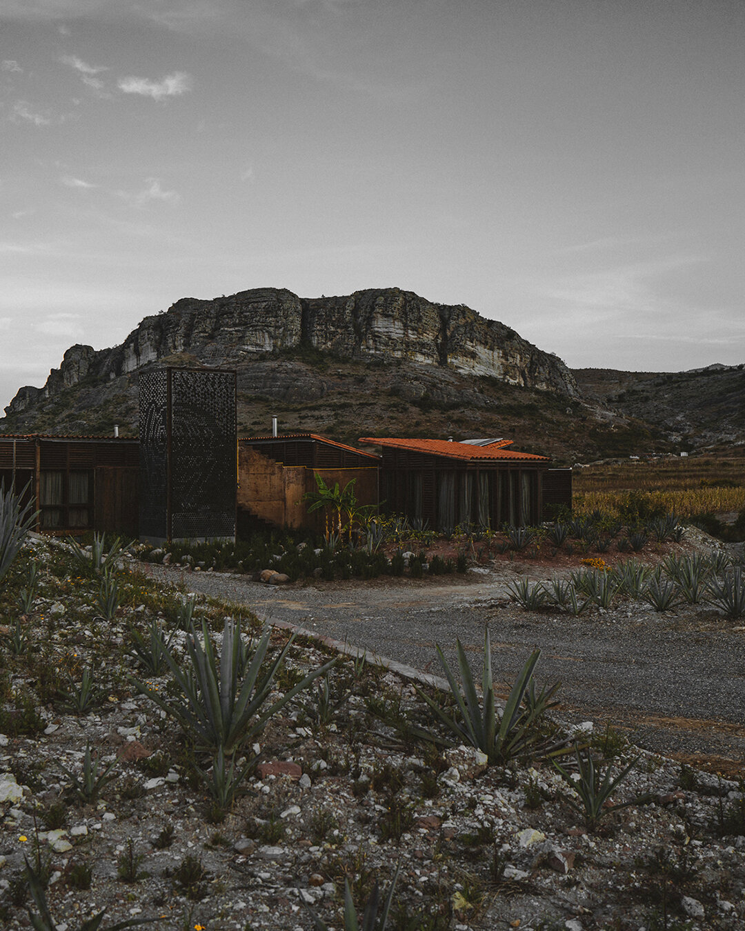 The Garden of Thought. #CasaSilencio #ElSilencio
&bull;
&bull;
&bull;
&bull;
&bull;
&bull;
#oaxaca #mexico #mezcal #tequila #agave #agavelove #mezcallovers #alcohol #spirits #craftspirits #distillery #distillerytour #palenque #mezcaleria #sustainabil