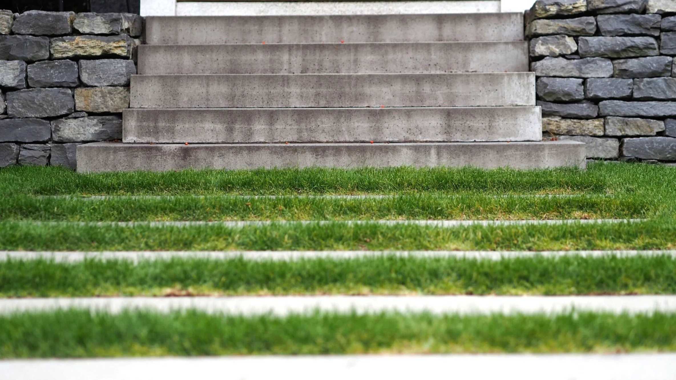 Absolute Landscaping