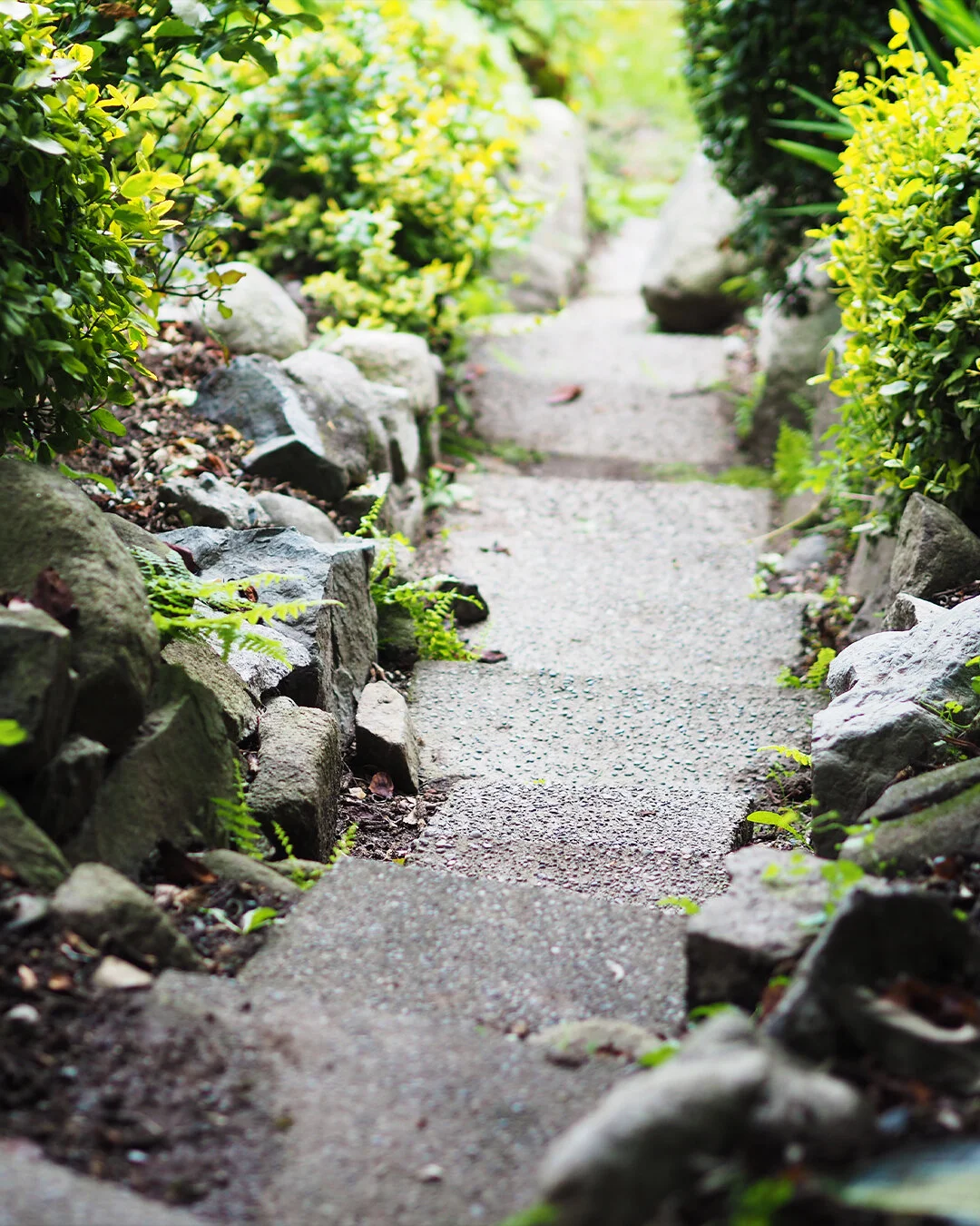 Absolute Landscaping