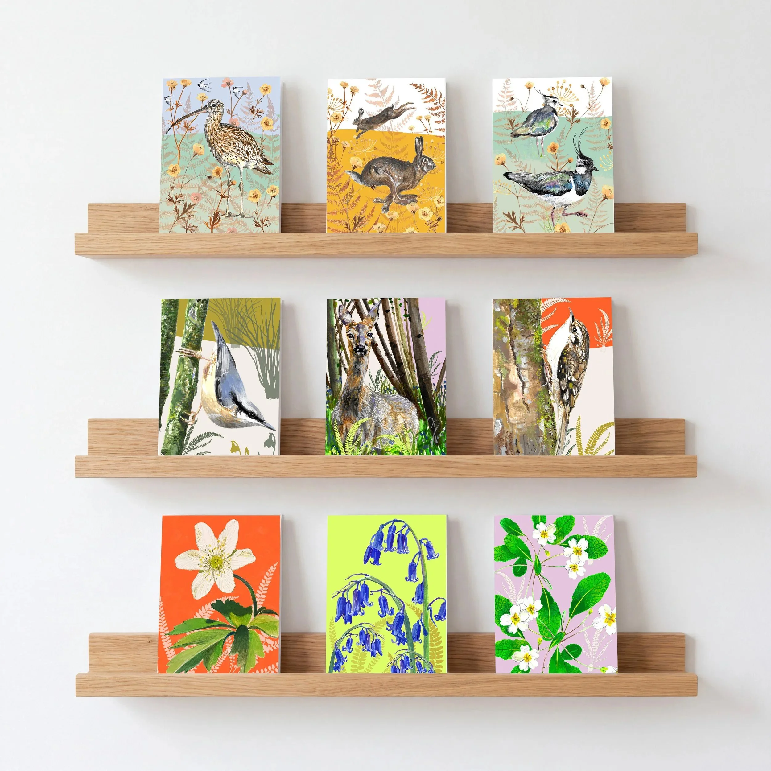 Card+Shelf+Mock+Up.jpg