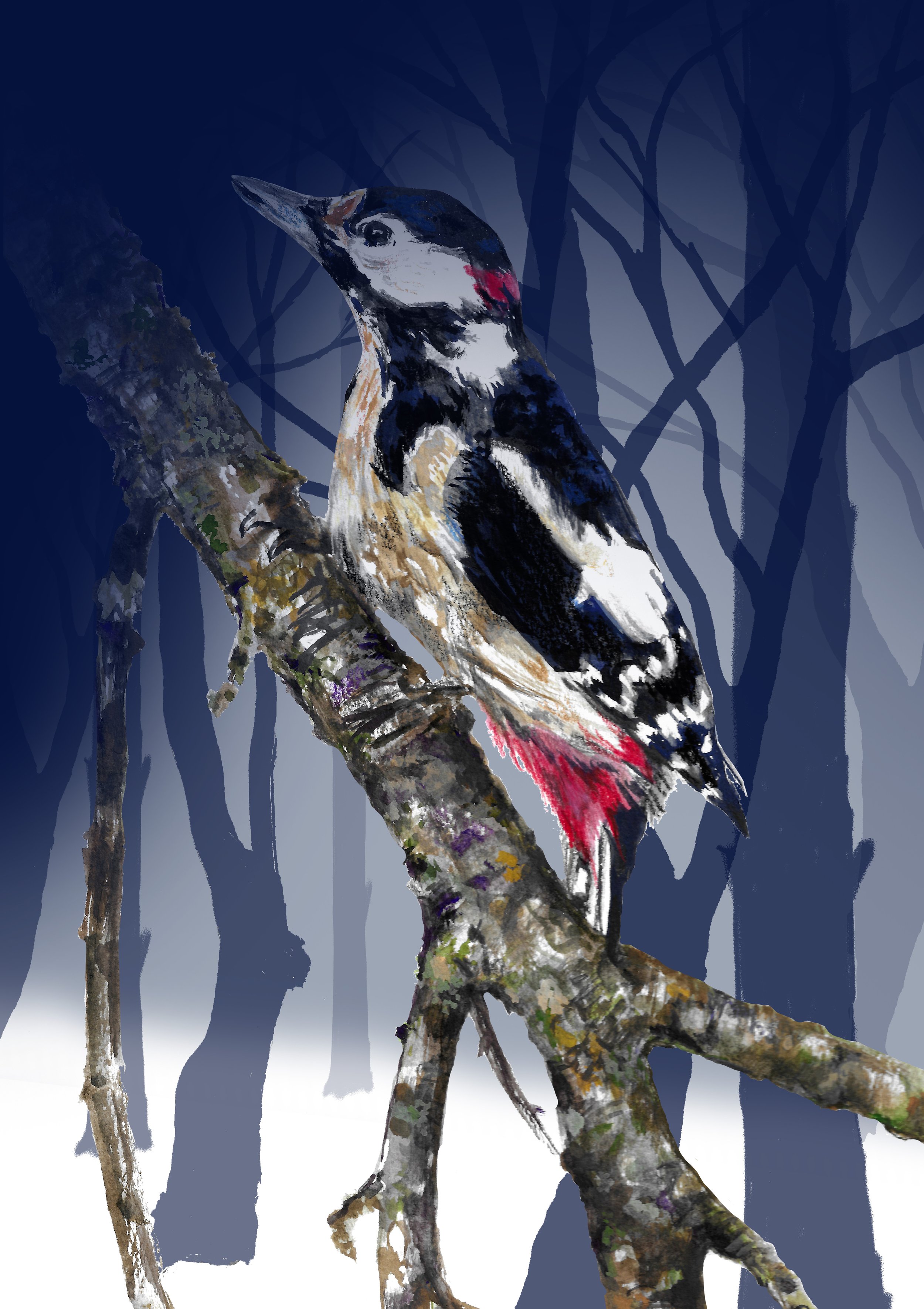 Winter Woodpecker