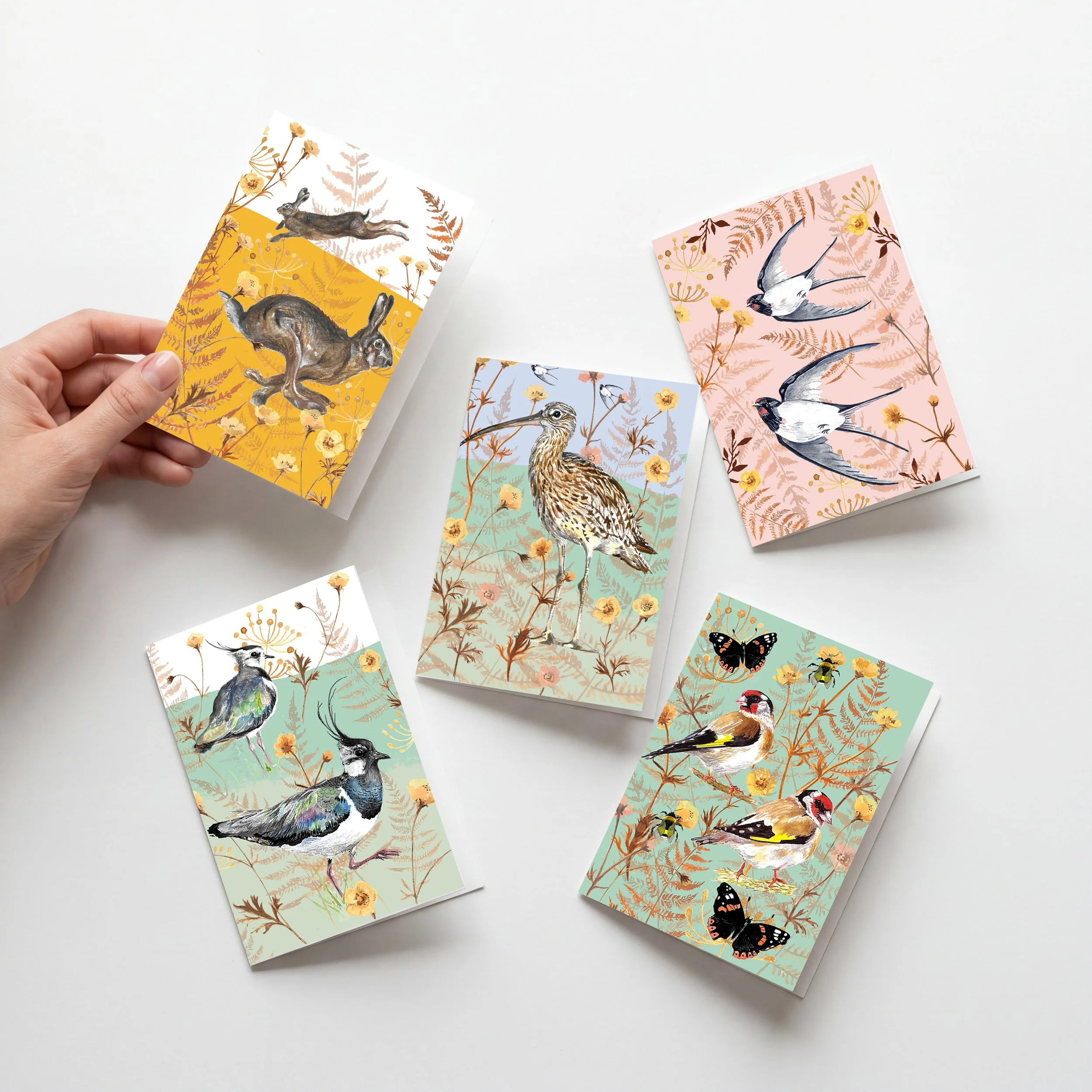 5 Card Mock Up June 2026.jpg