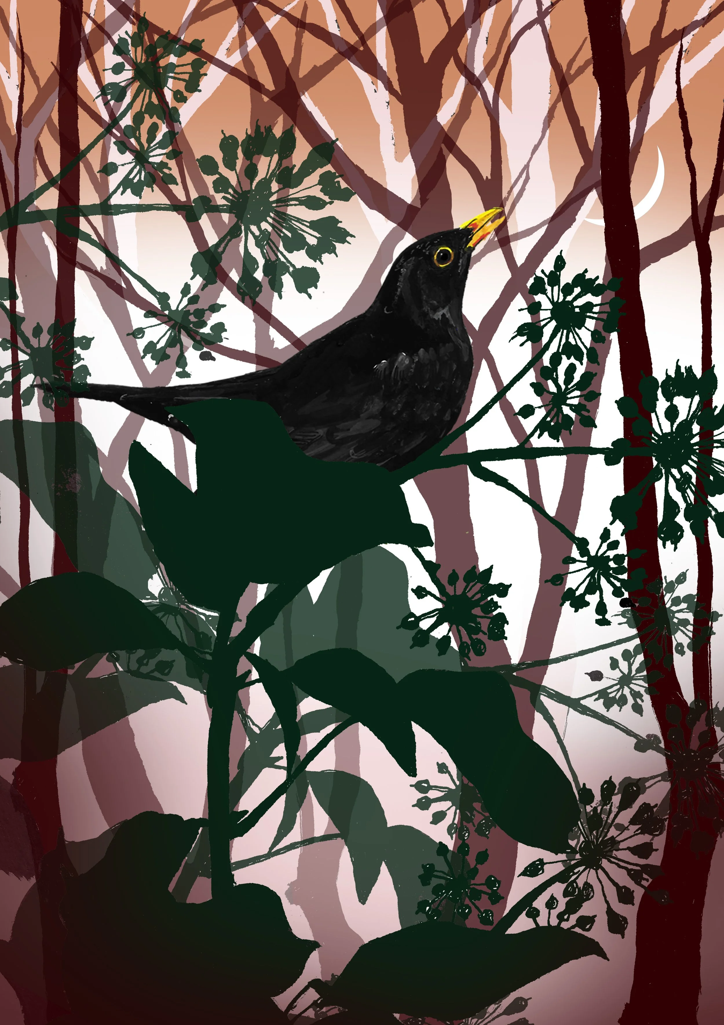 Blackbird with ivy woodland A6 Card.jpg