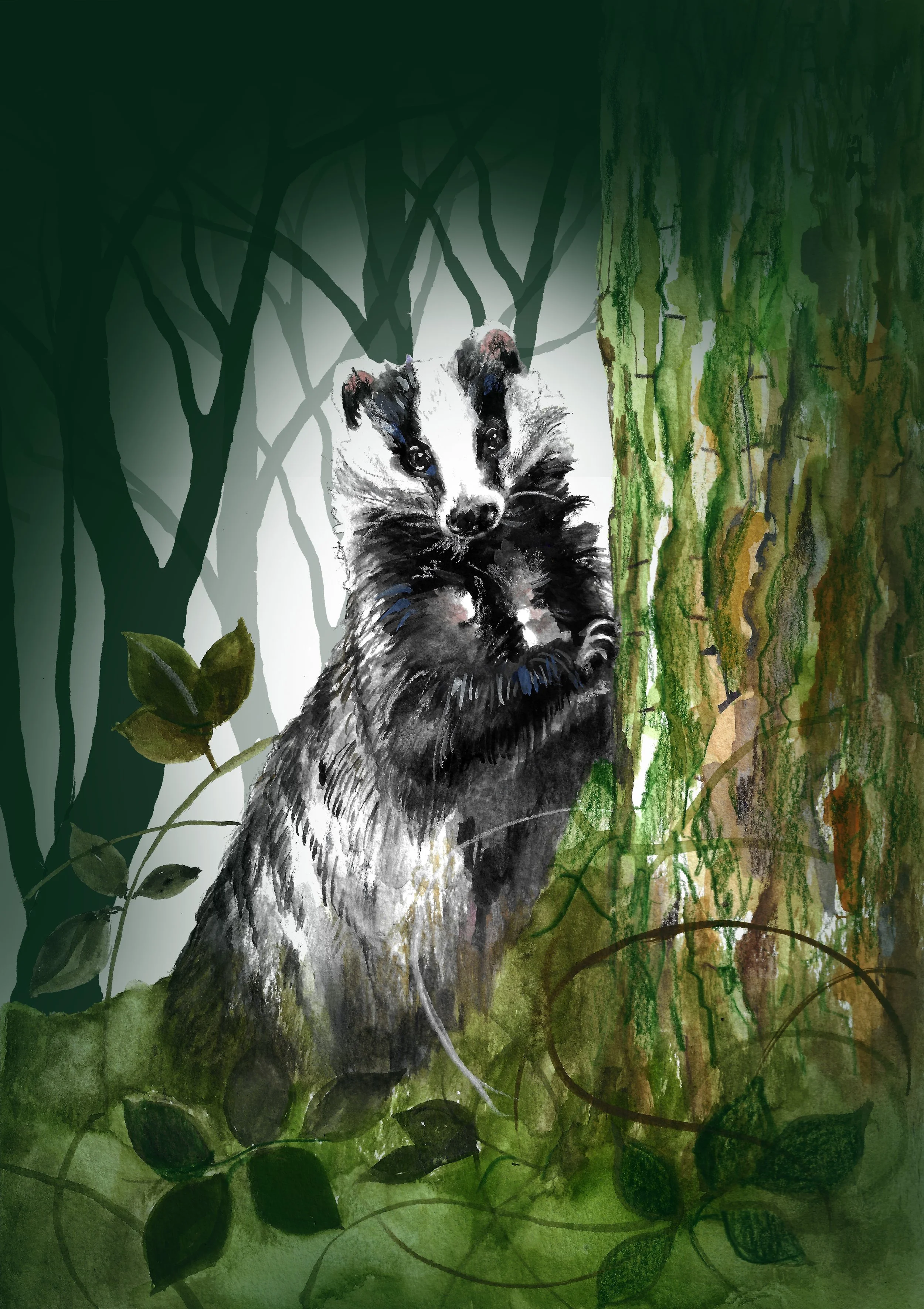 Badger FINAL DESIGN for Print 2026.jpg