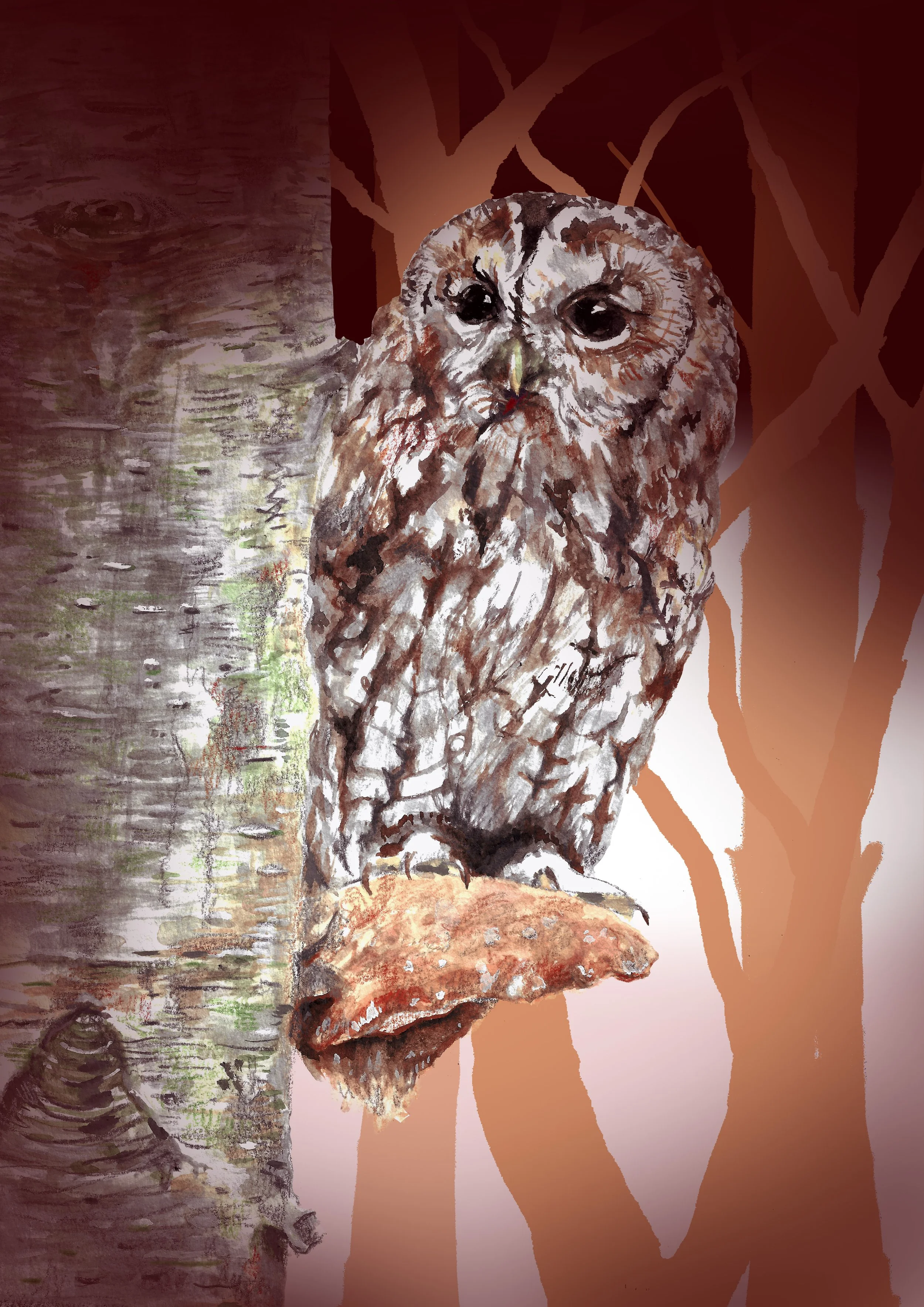 Tawny Owl FINAL DESIGN for Print 2026.jpg