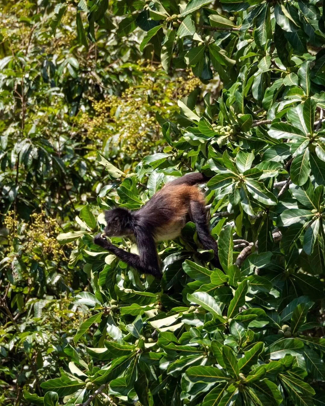 insta BZ Xunan @thoroughlytravel5.jpeg