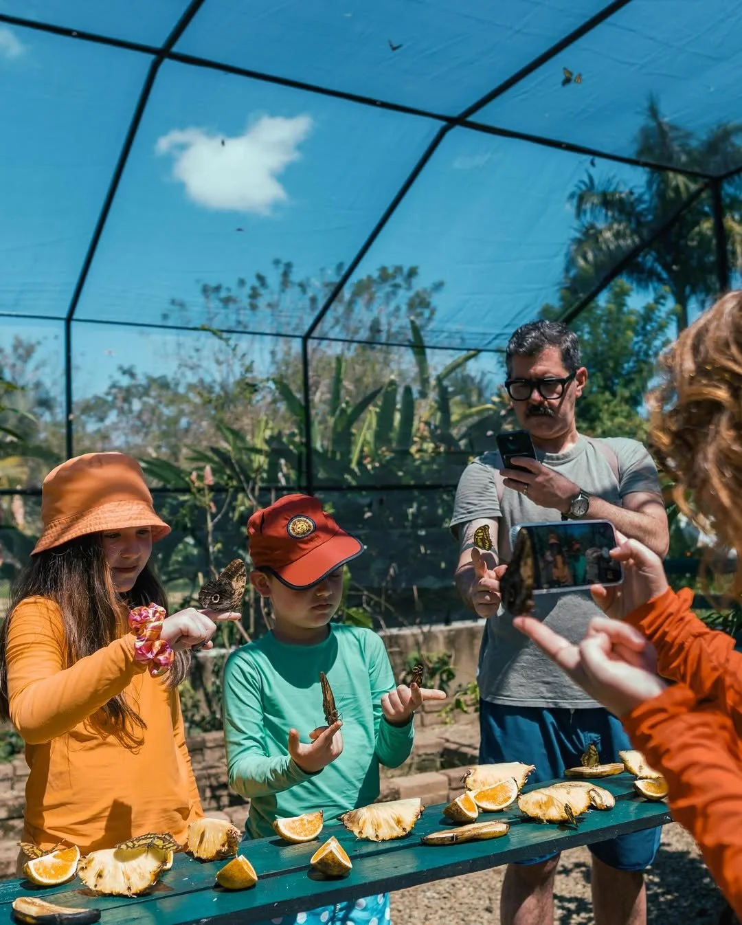 insta BZ @ yaaxkinbutterfly6.jpg