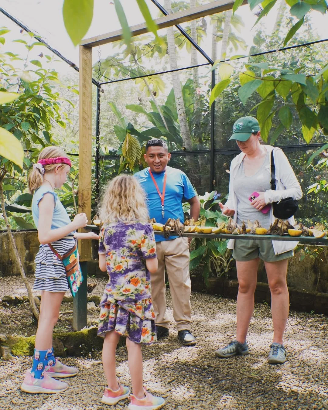 insta BZ @ yaaxkinbutterfly1.jpg