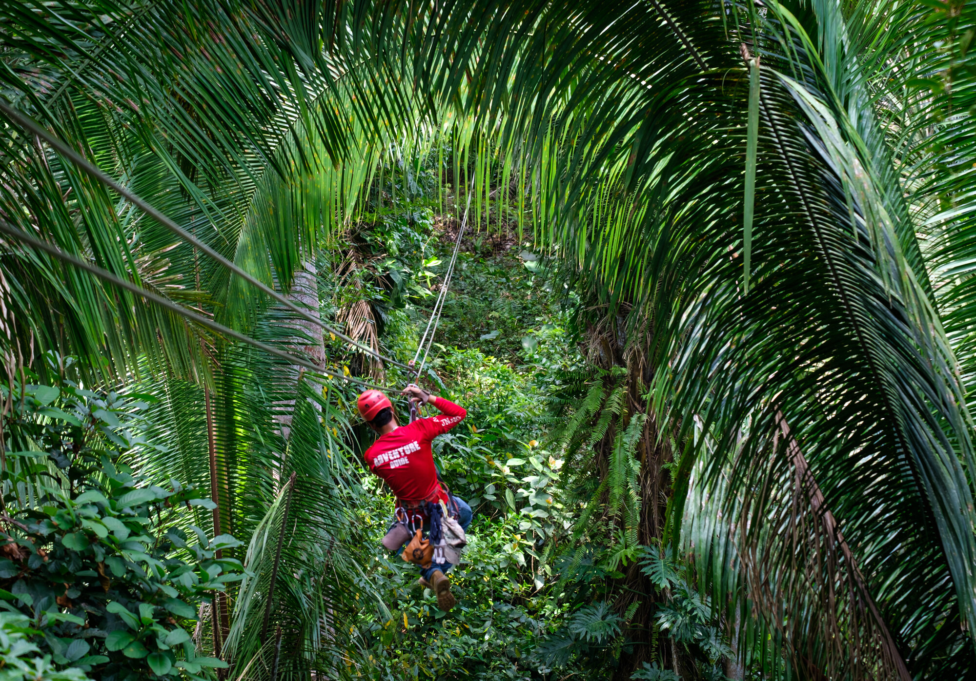 Thrilling Zipline Adventure at Bocawina Rainforest 2024 - Hopkins