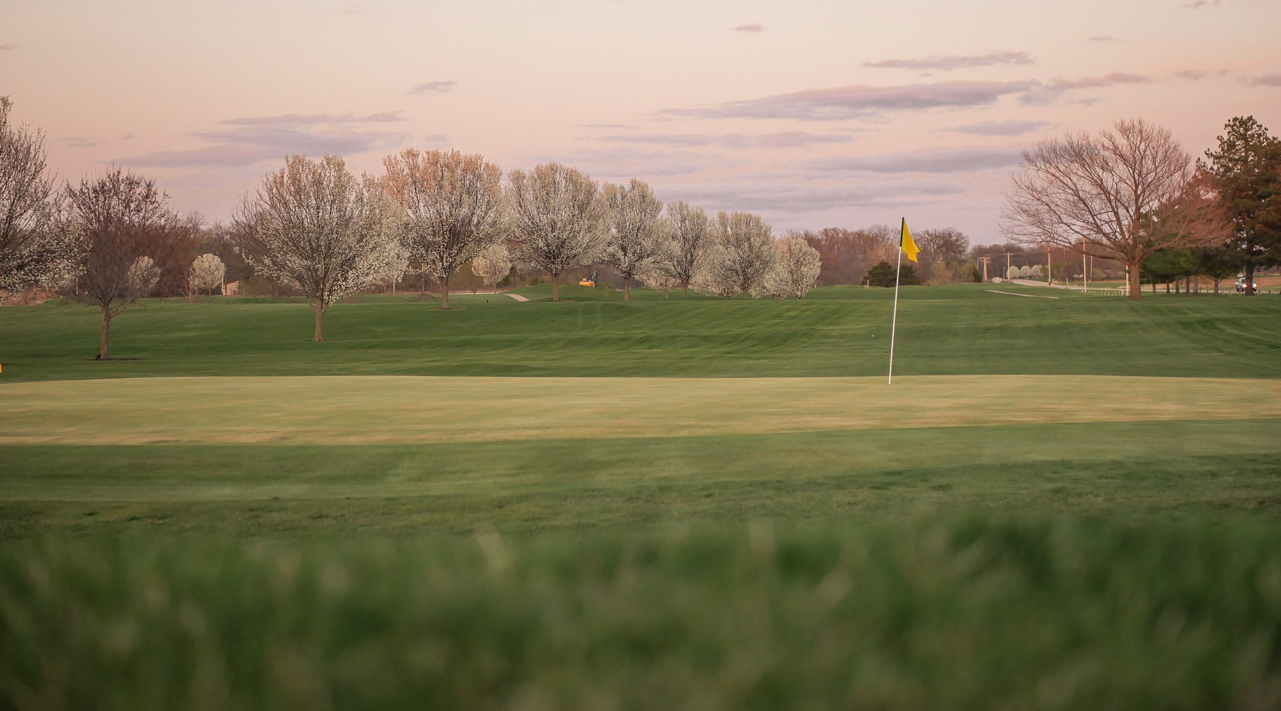 golf green with spring trees blooming in background