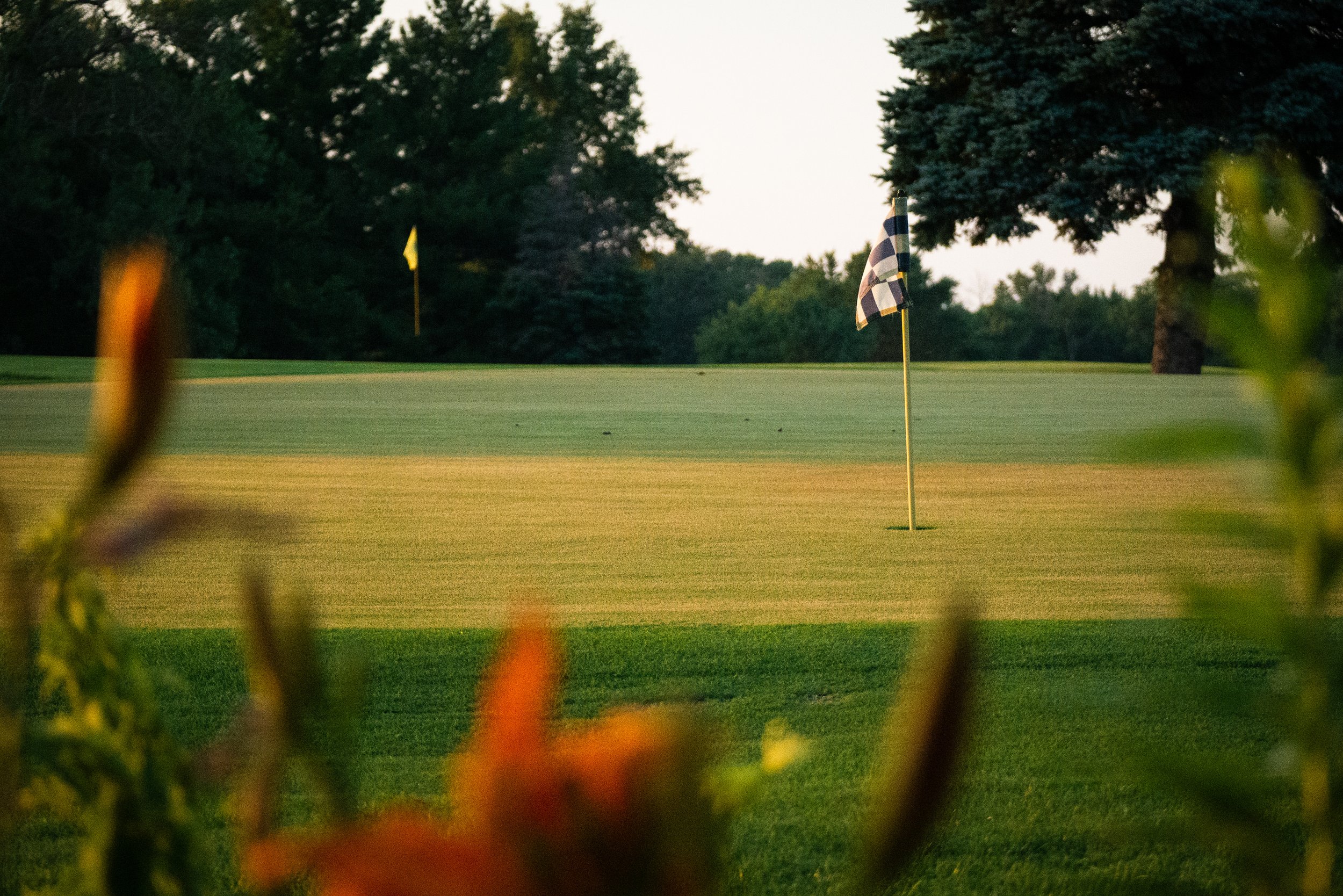golf putting green close up with flagstick in the distance