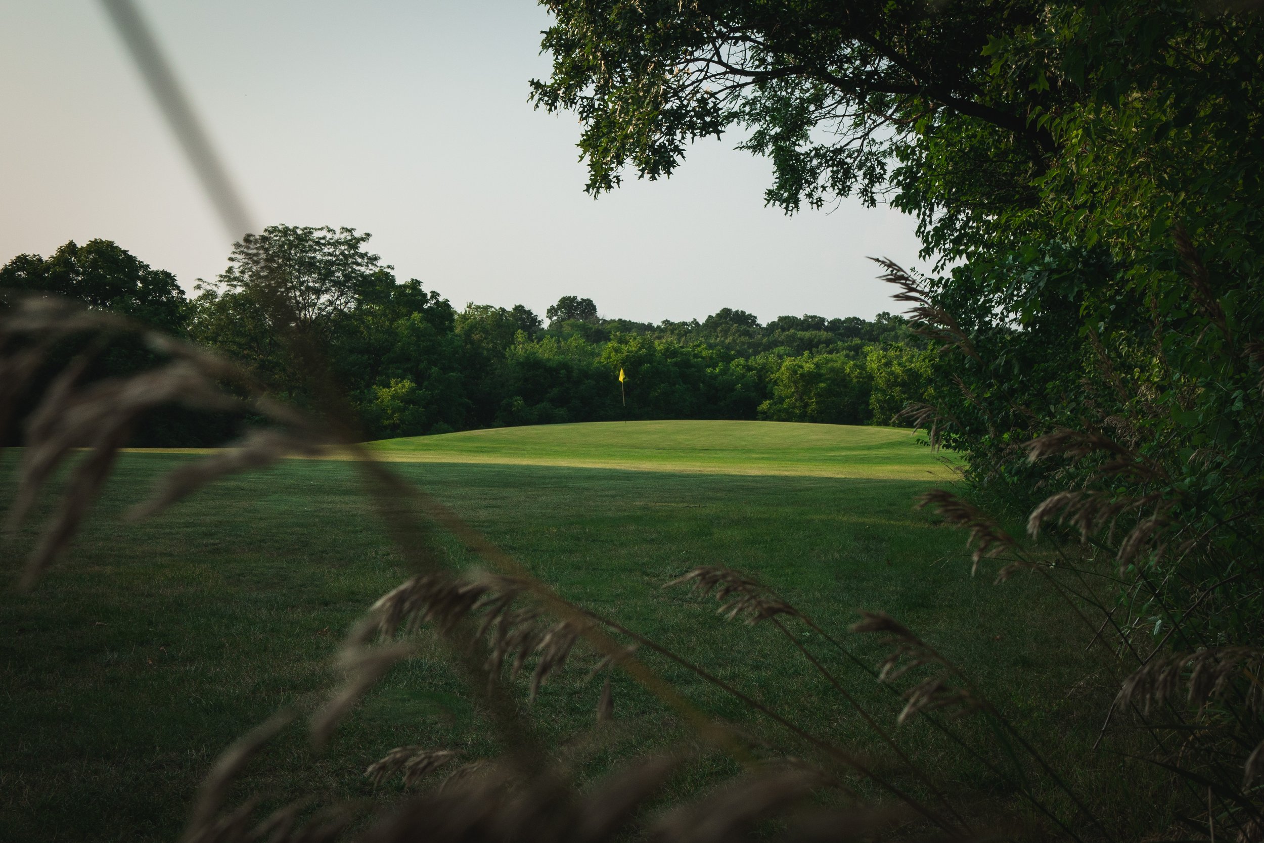 golf green with lush green forest background