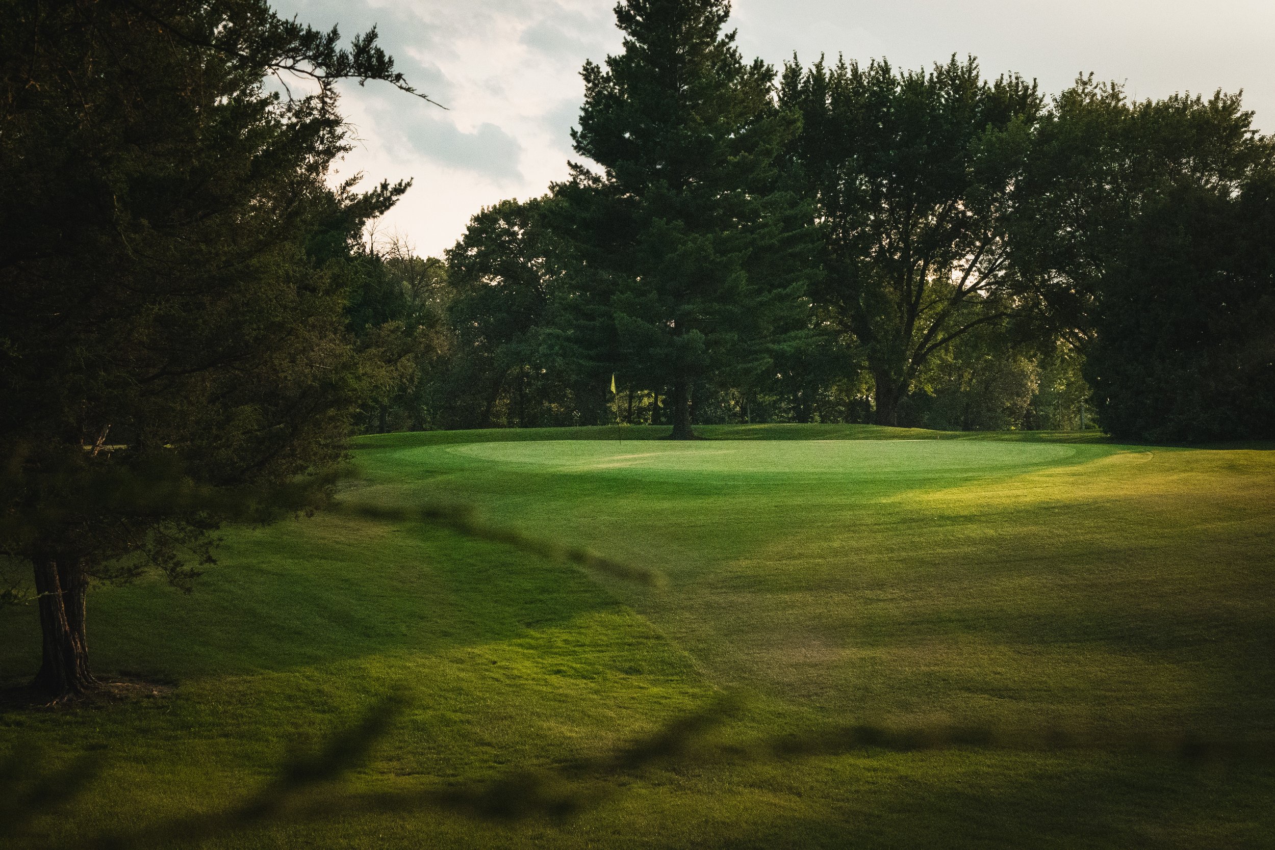 golf green in the distance with bright green color