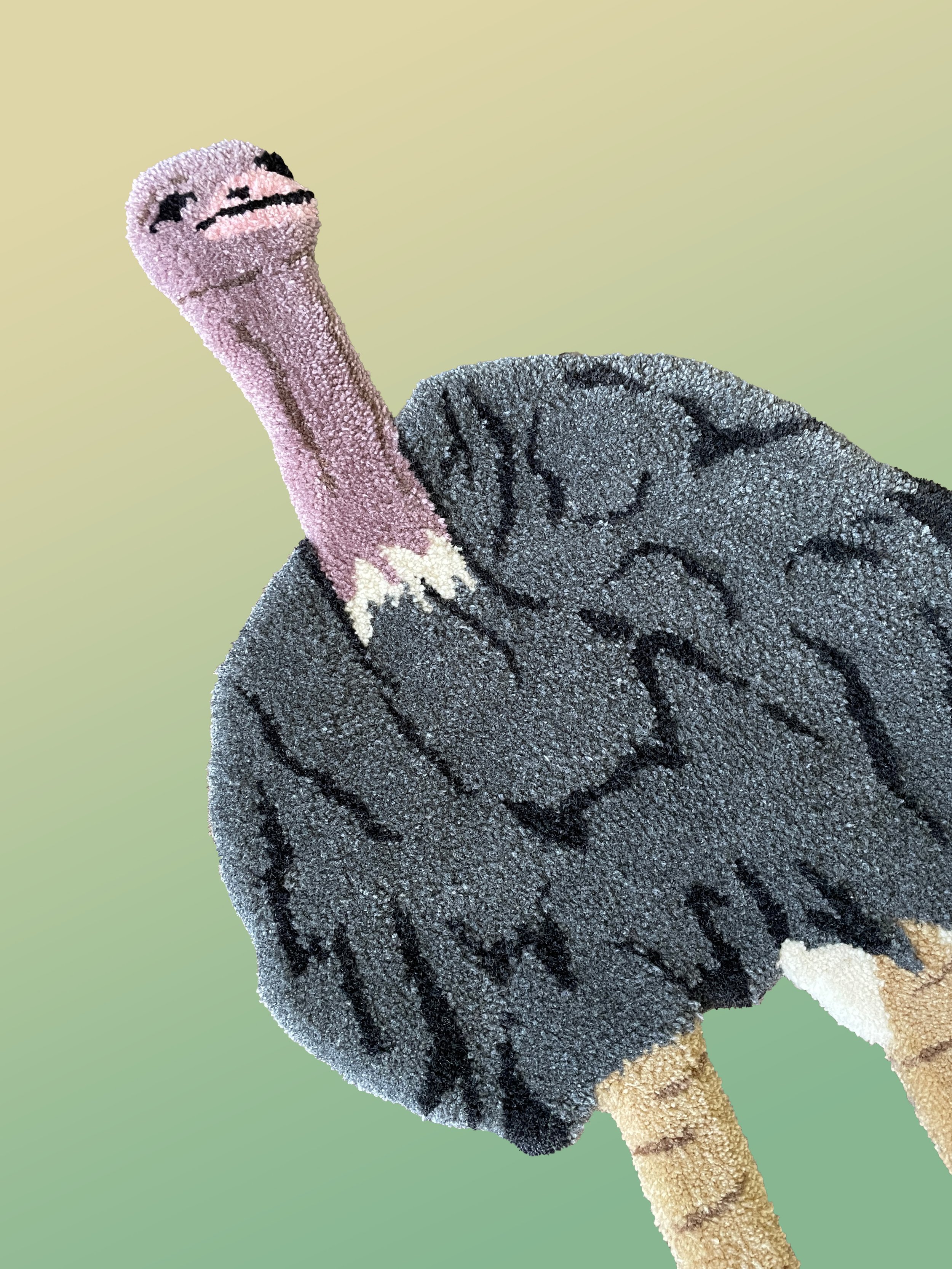 ExtraLongOstrichCU_Archive.jpg