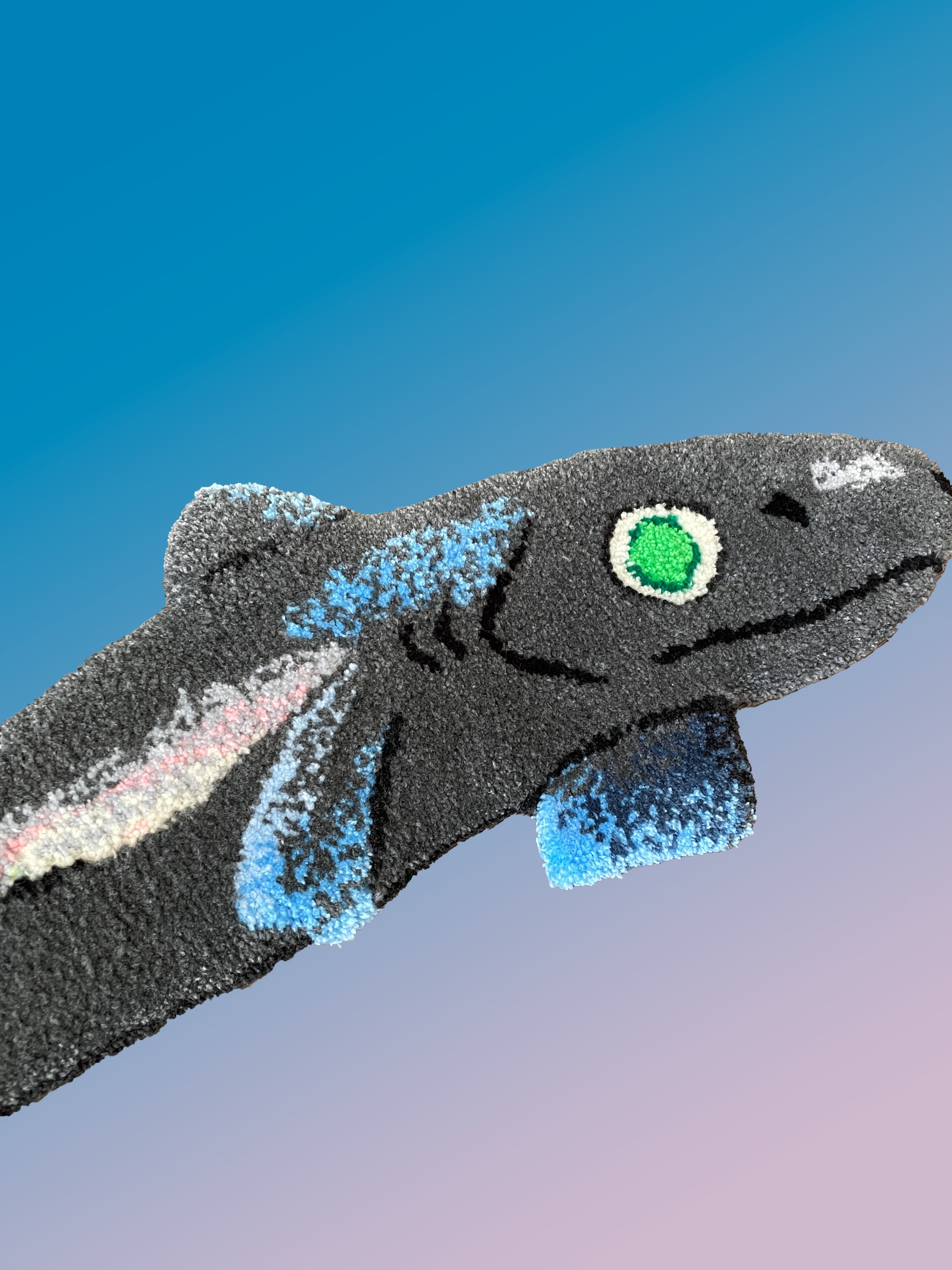 DwarfLanternsharkCU_Archive.jpg