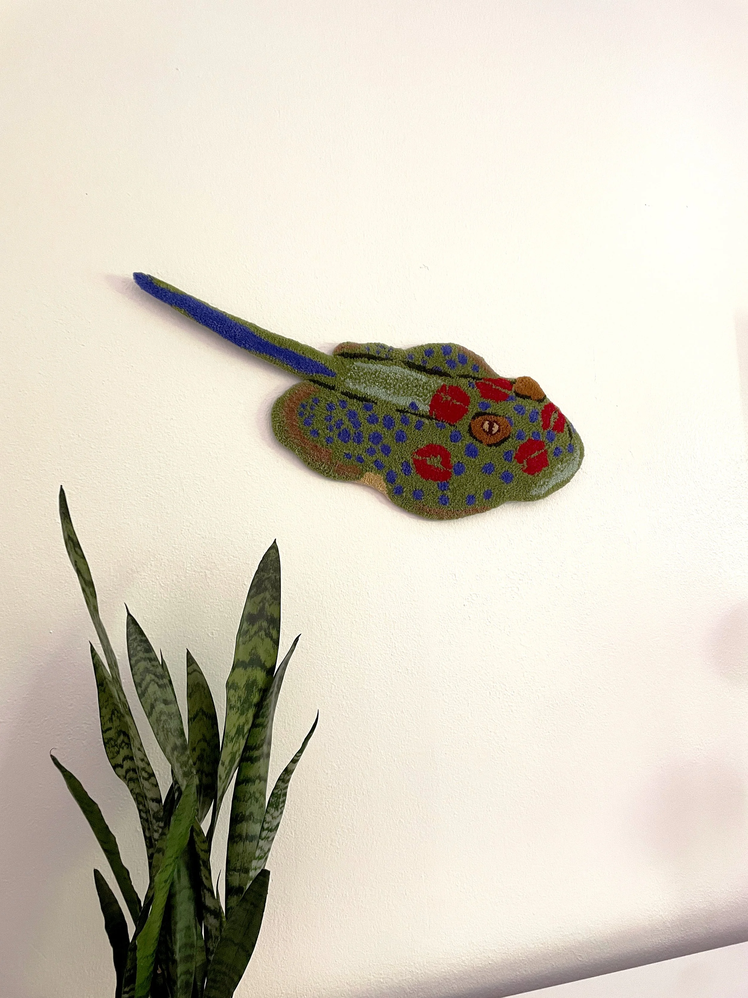 BlueSpottedRibbonTailLS_Archive.jpg