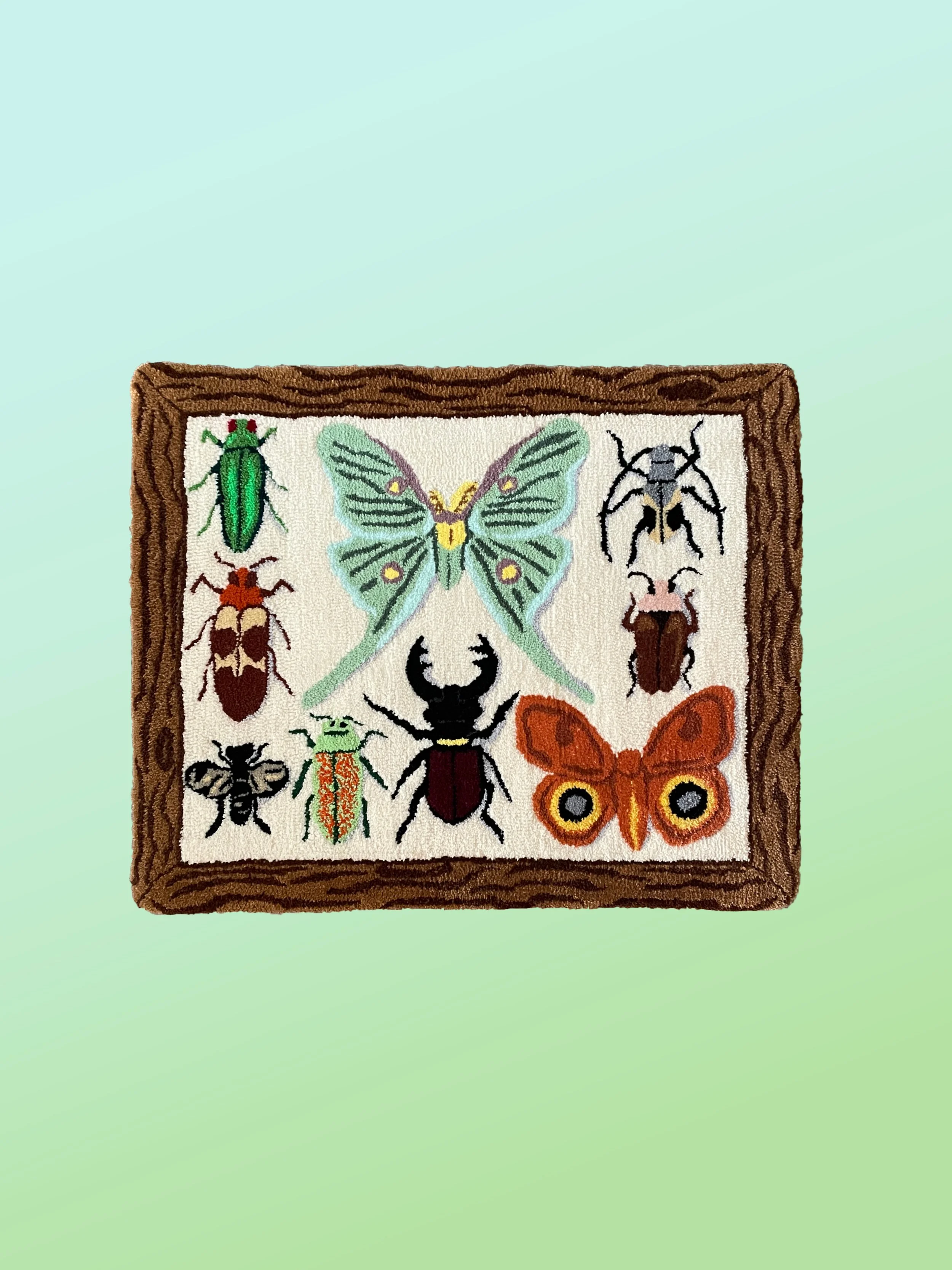 BugDisplay_Archive.jpg