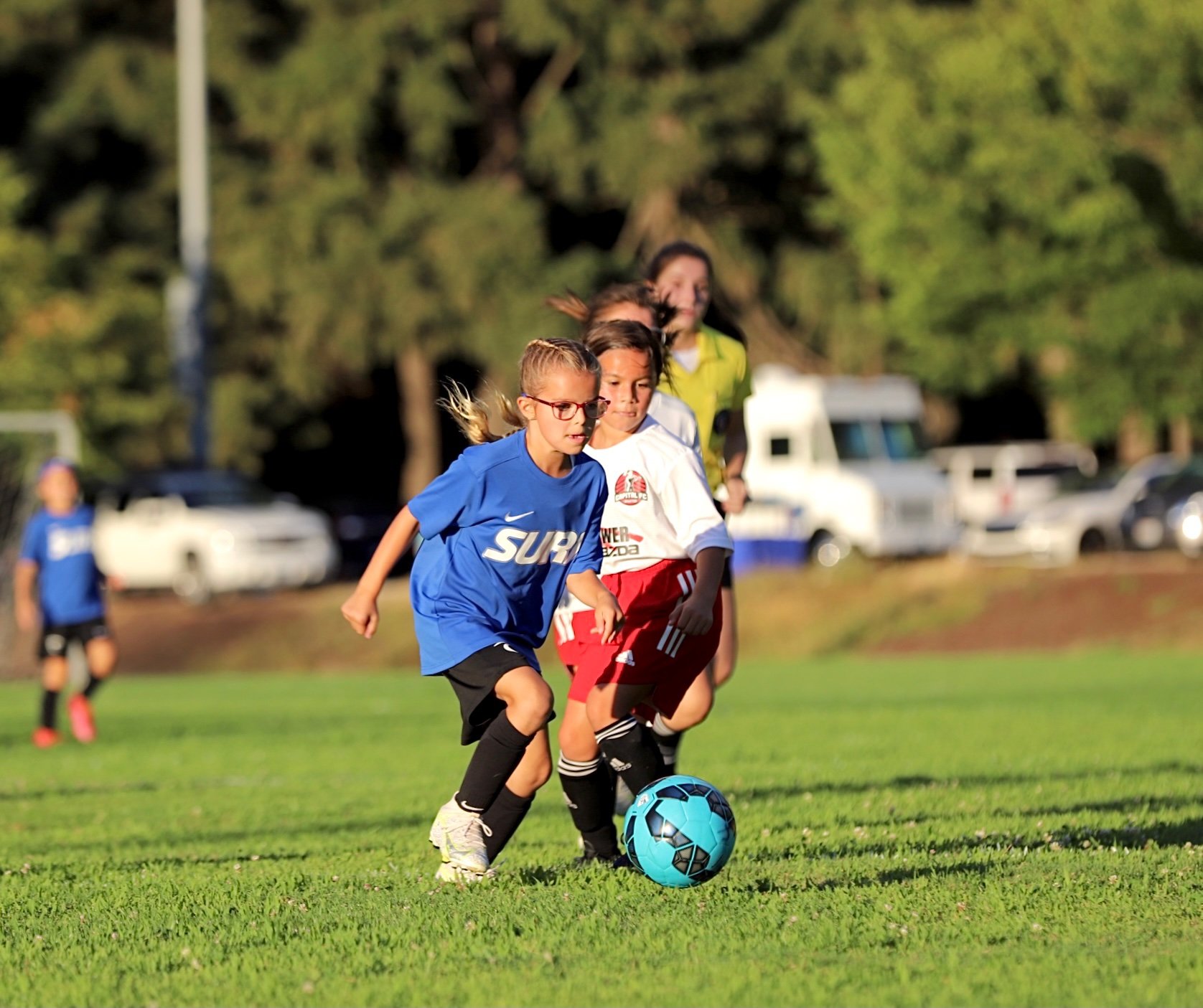 SD PREMIER CLASSIC