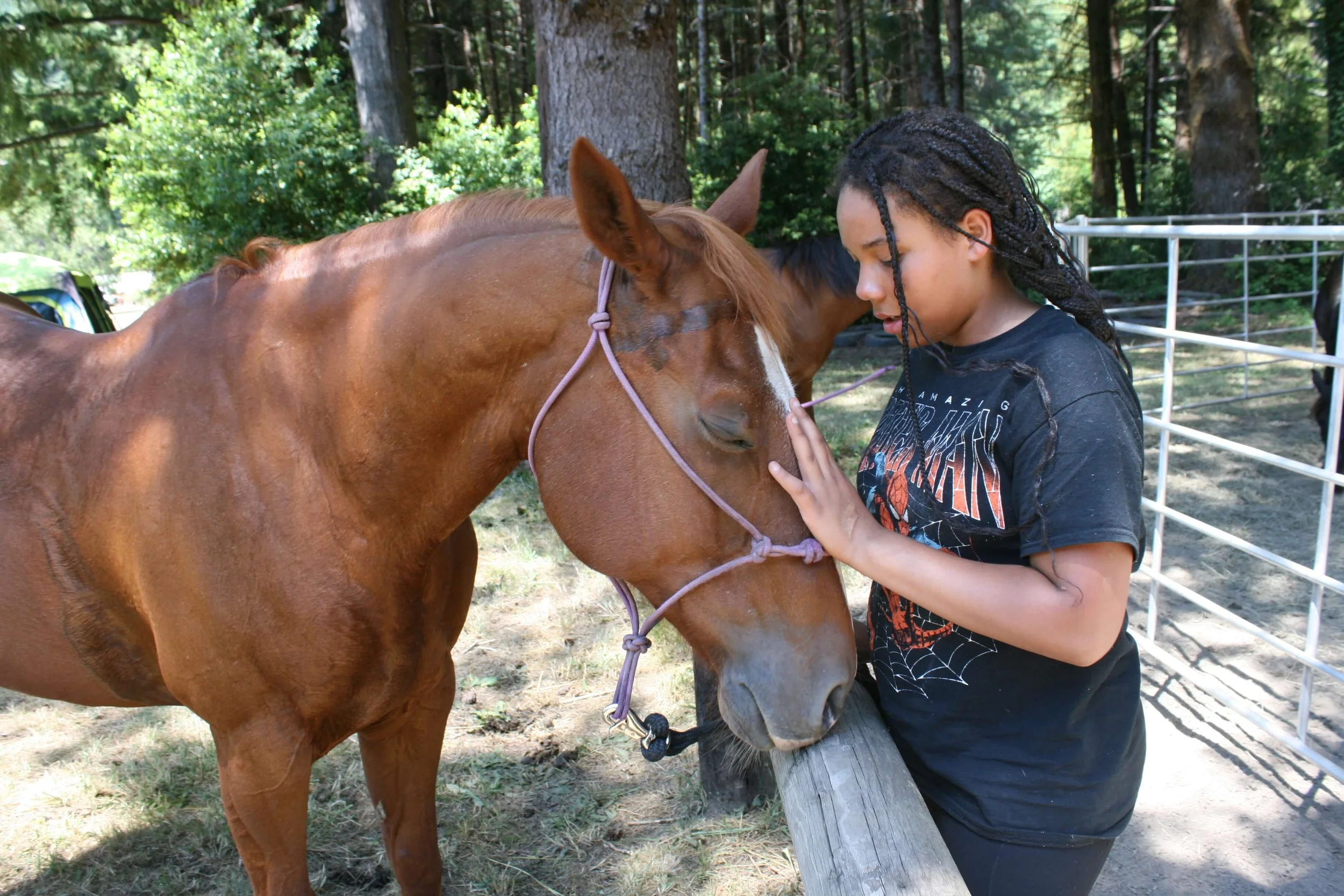Redwood Creek Summer Camp 2025 Horses.JPG