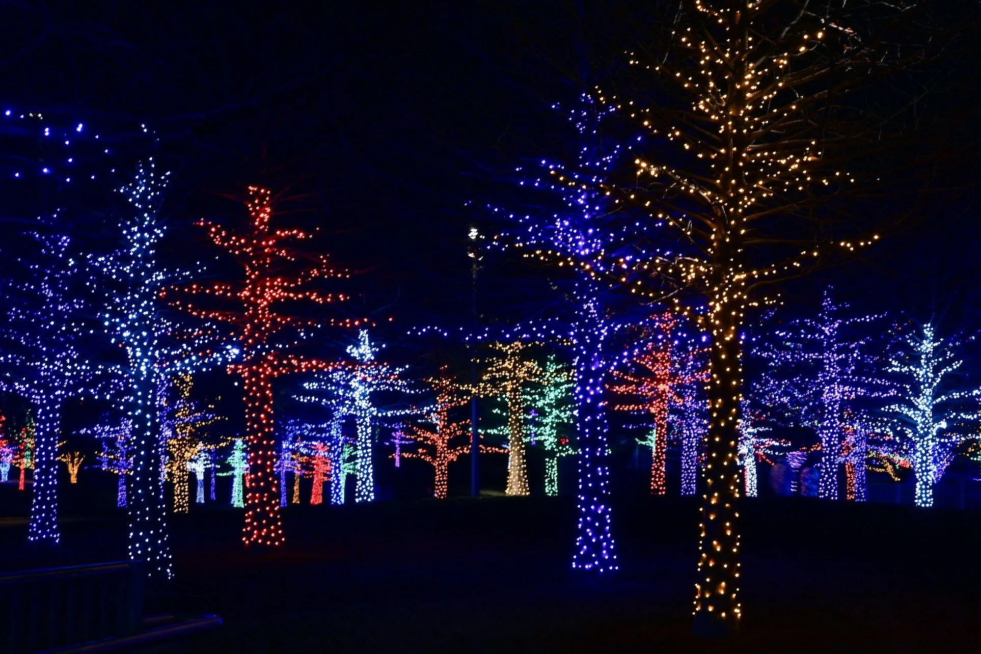 2025 Christmas Light Map