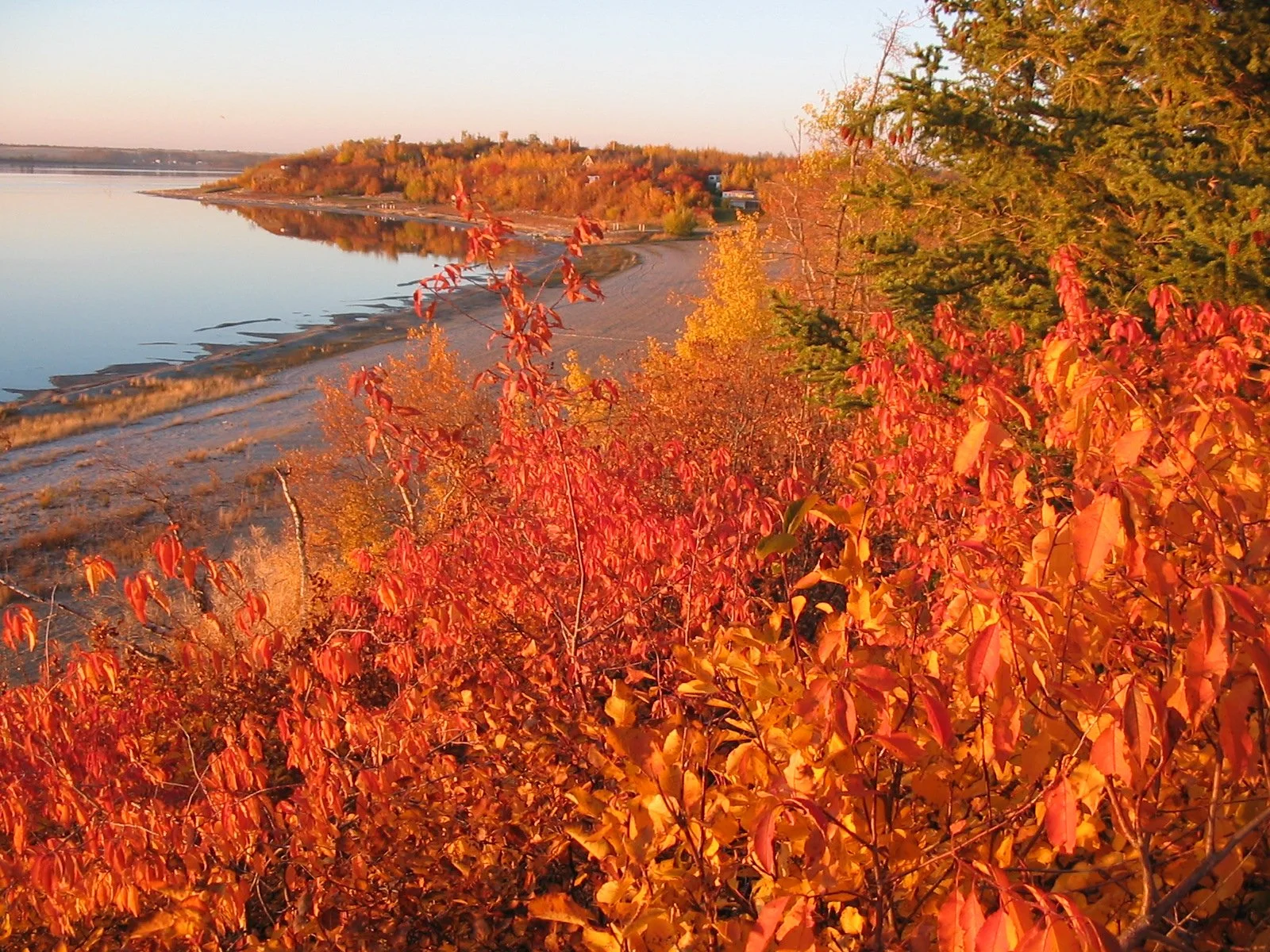 Fall Lake View 2.JPG