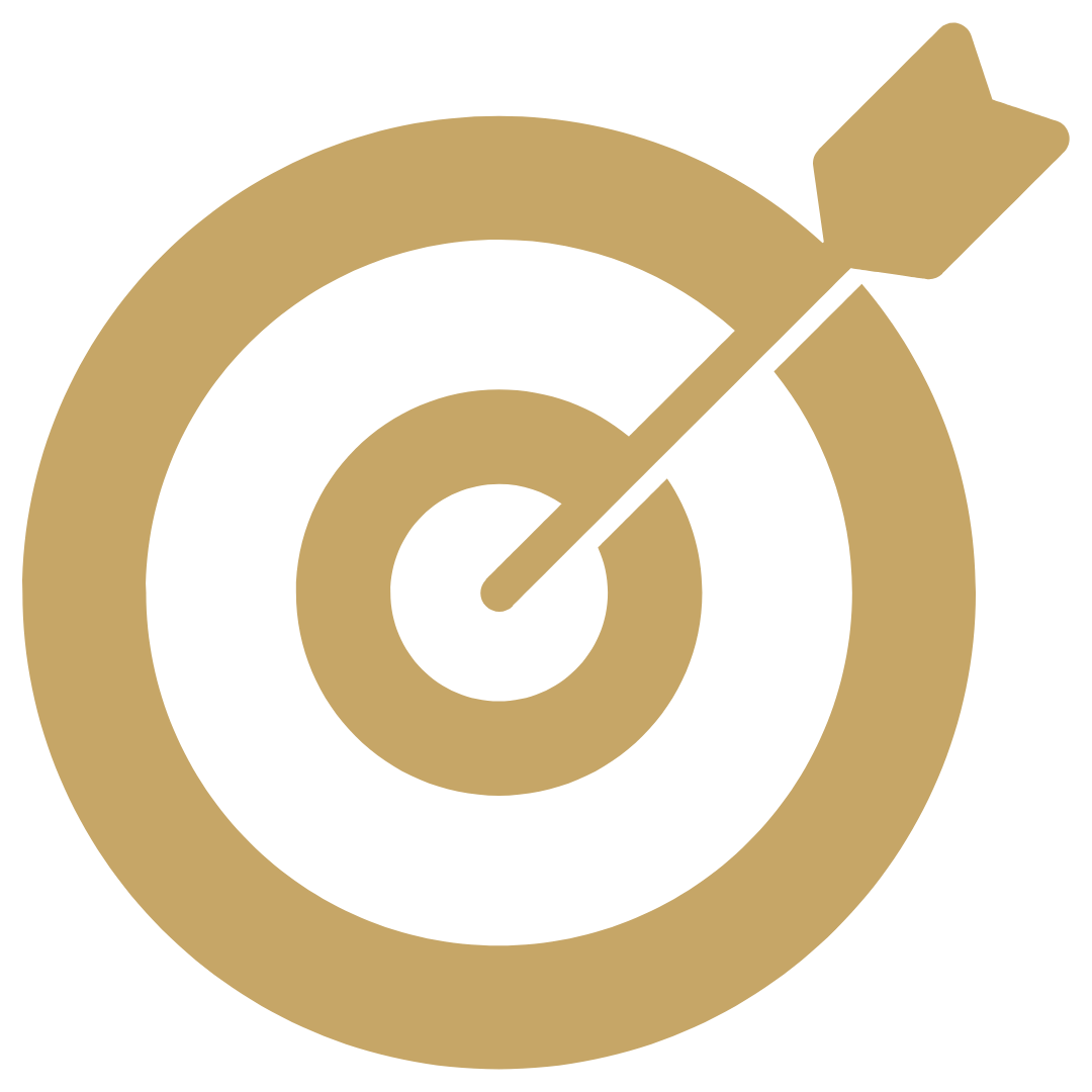 Gold-colored target with concentric circles and an arrow hitting the bullseye.