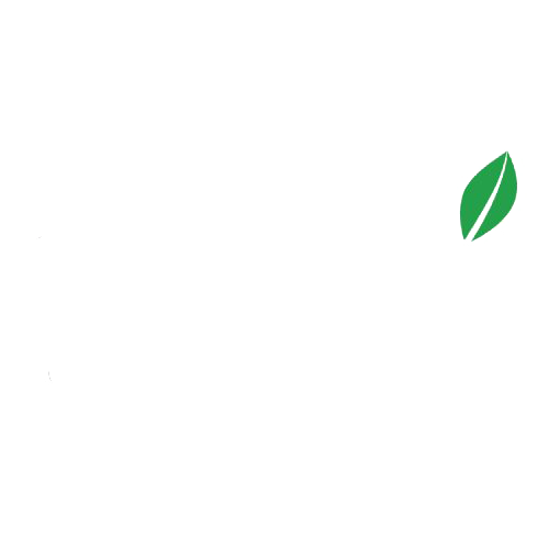 Emmy's Organics logo with white text on a black background, featuring a green leaf attached to the apostrophe in "emmy's".