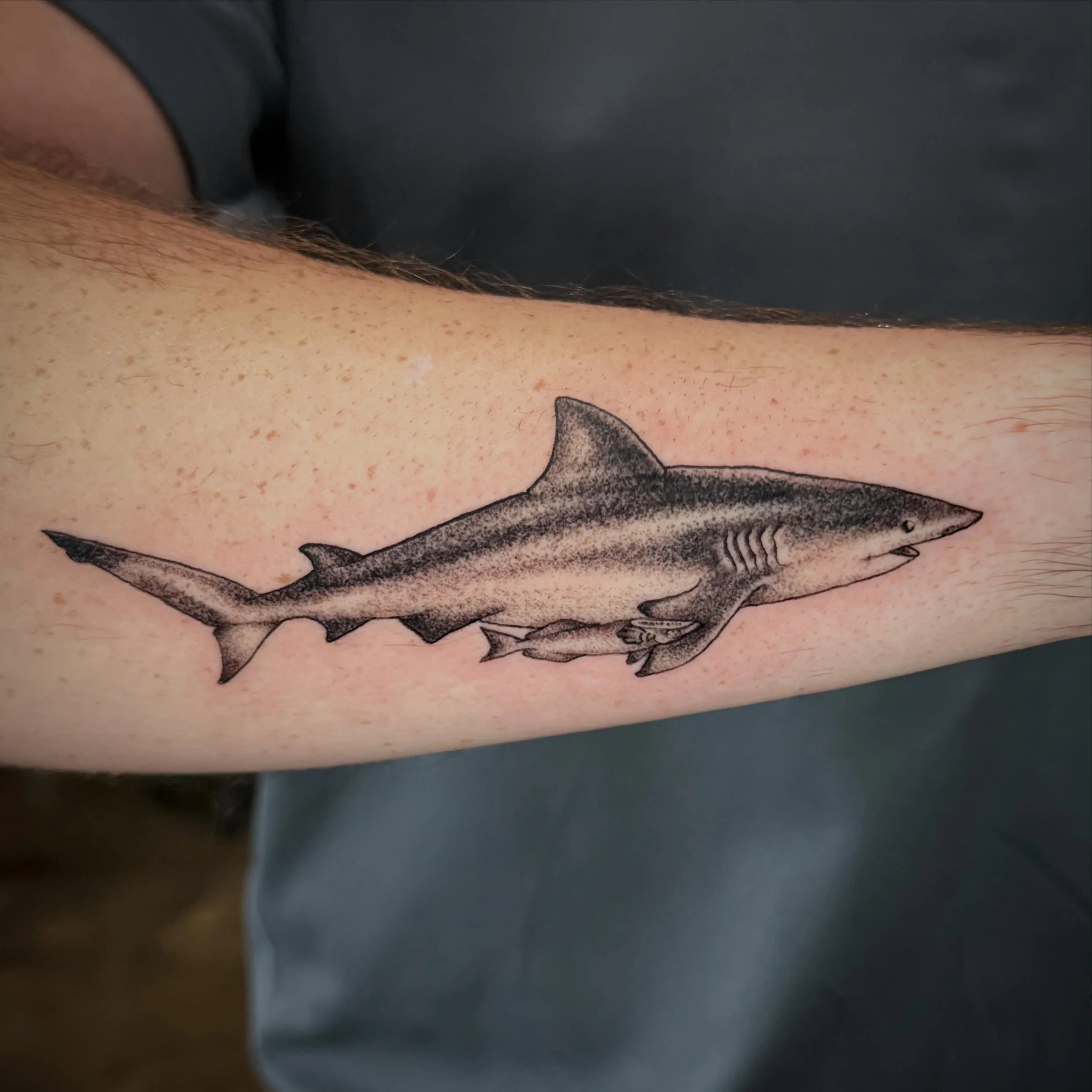 Shark tattooed by Jose! @josecordova