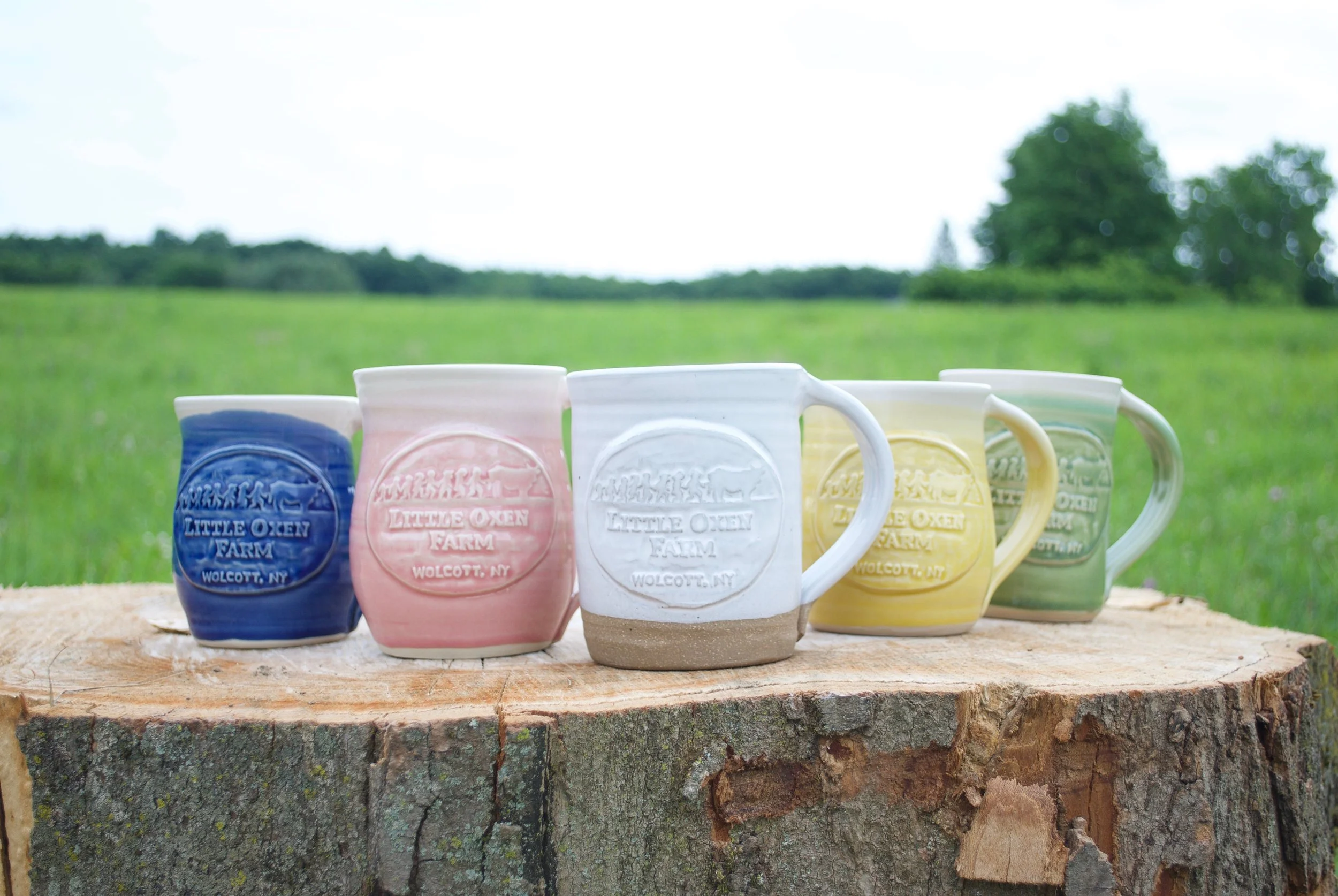 mugs 1.jpg