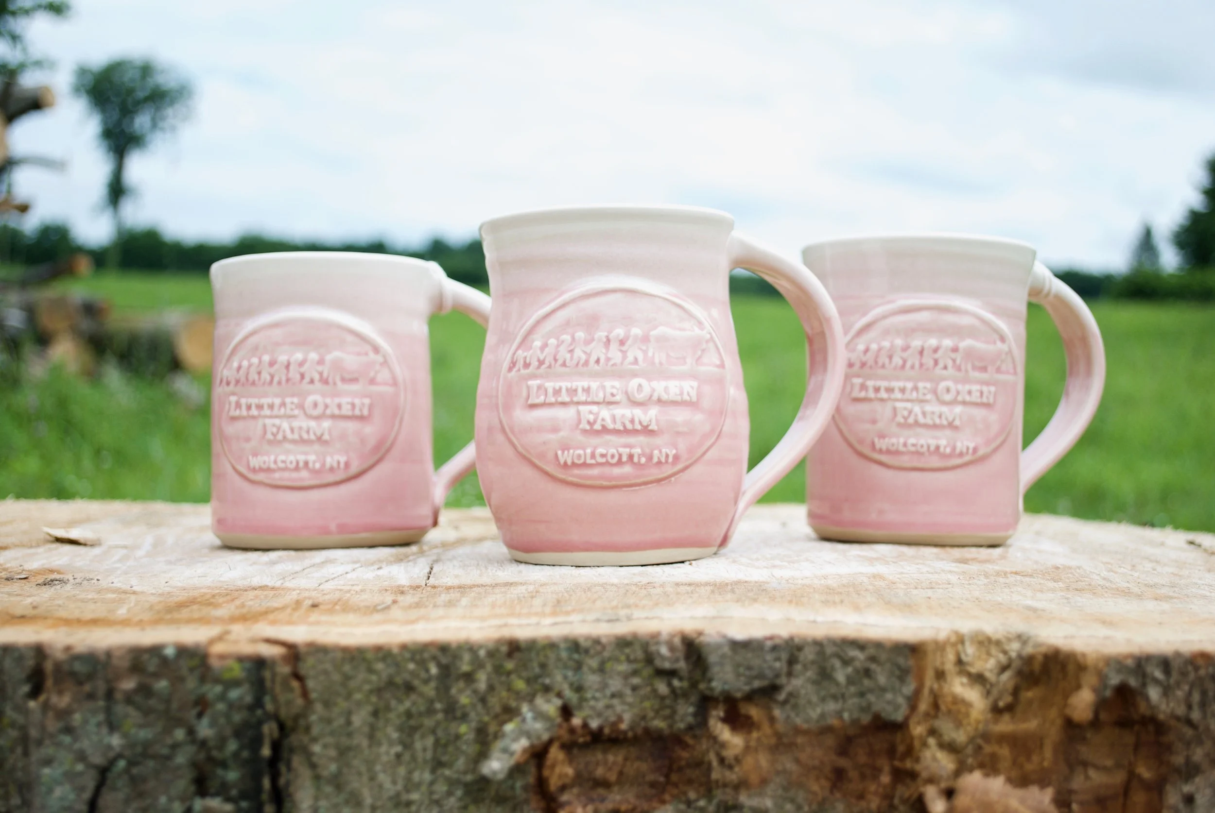 pink mugs.jpg