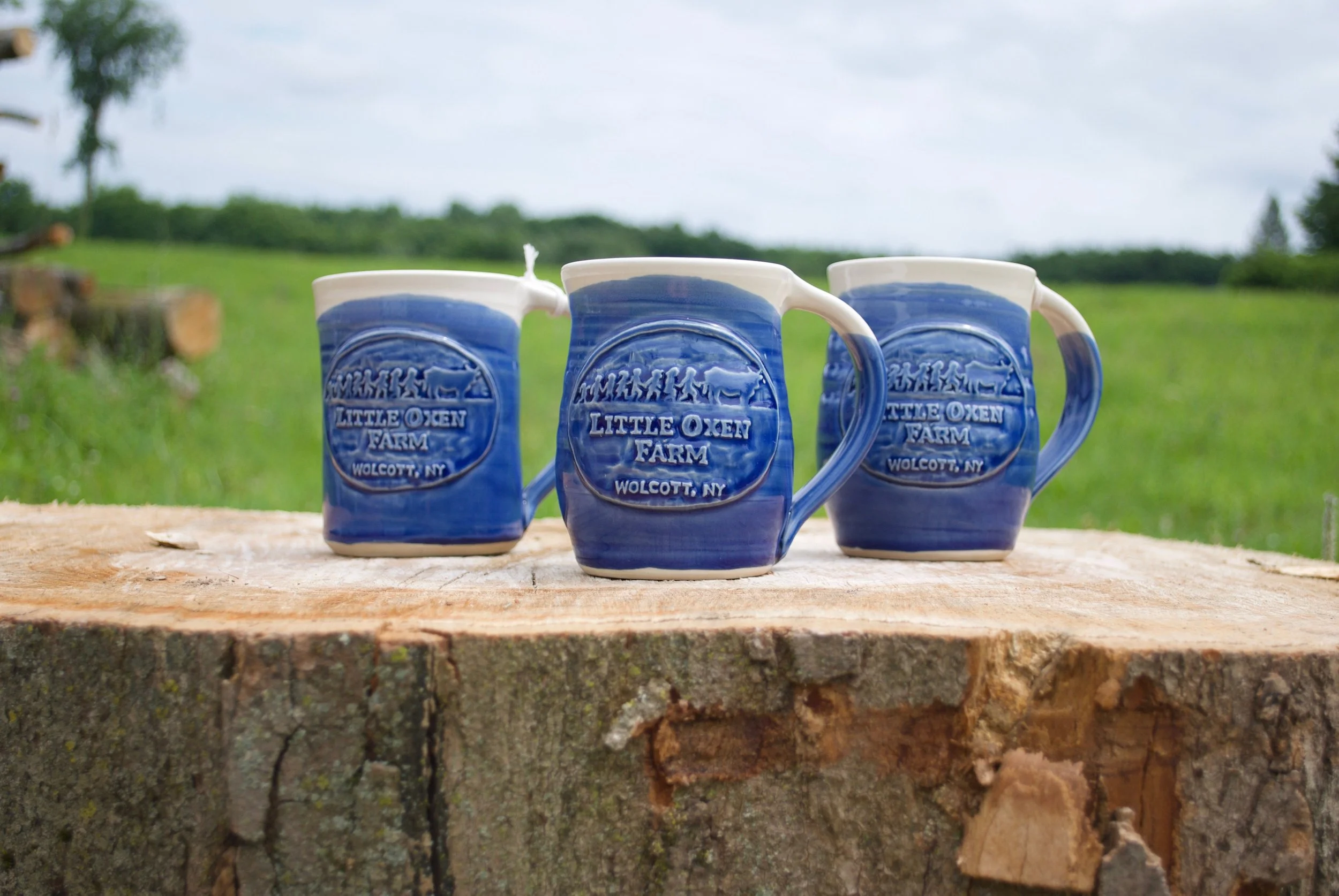 blue mugs.jpg