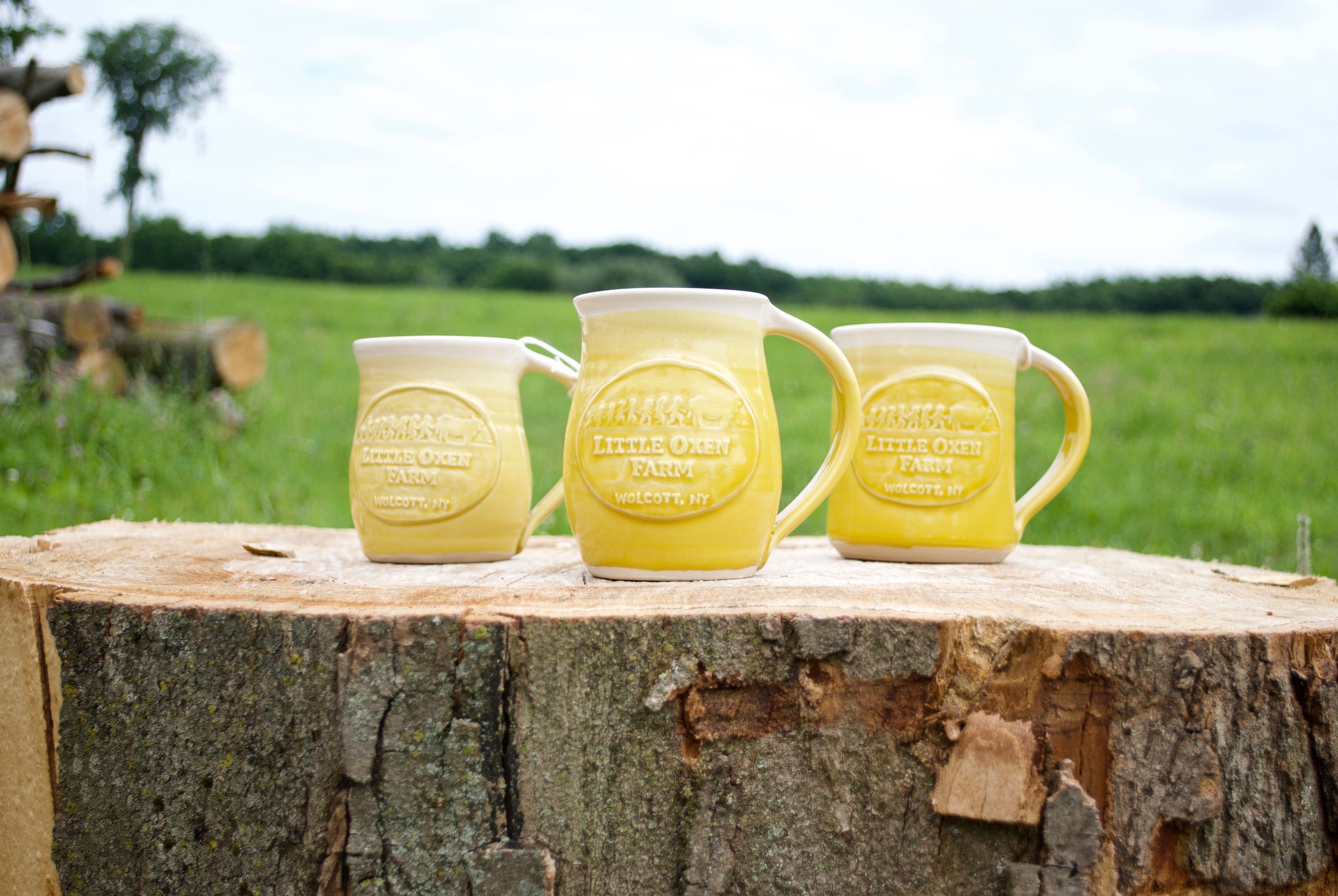 yellow mugs.jpg