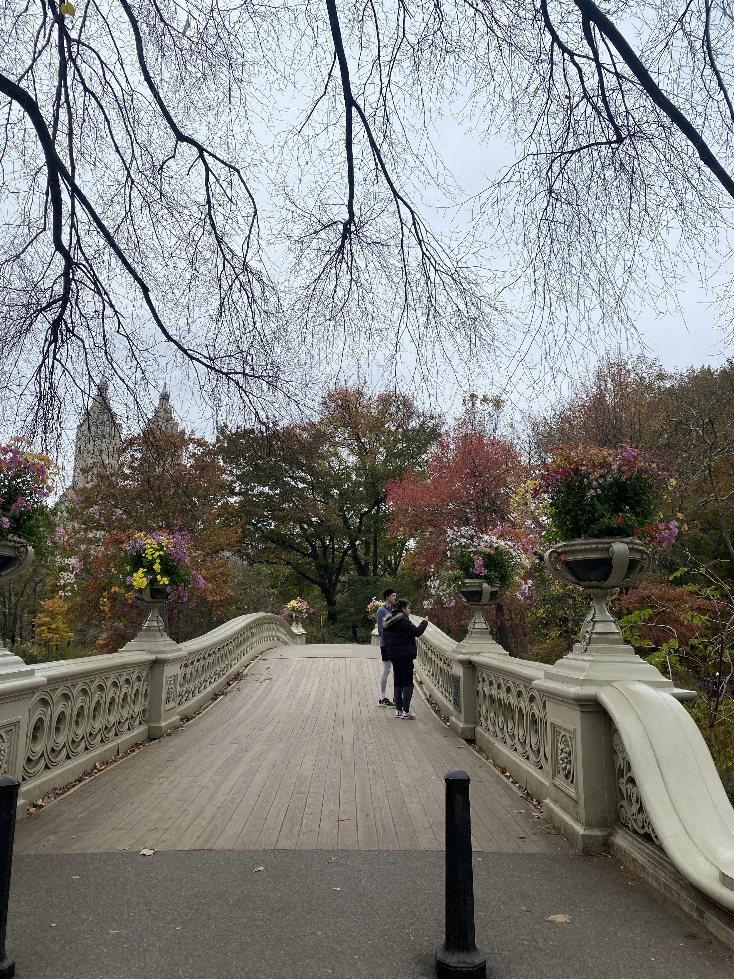 November - walks in Central Park have quickly become my favorite pastime