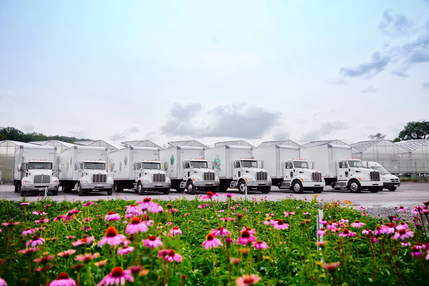 The Perennial Farm Growing for you!