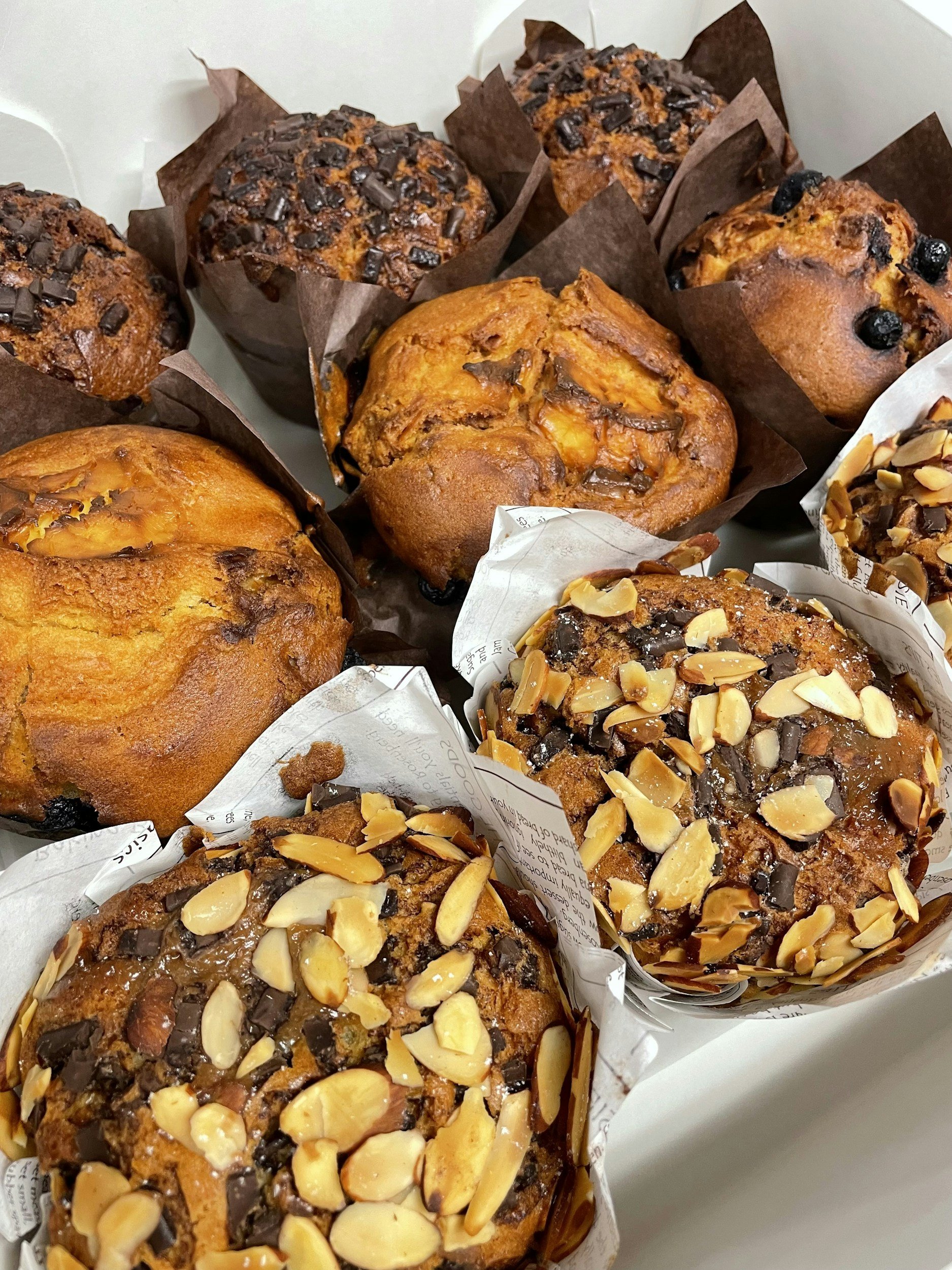 Fresh Wind Come Alive Again Series: Part 4