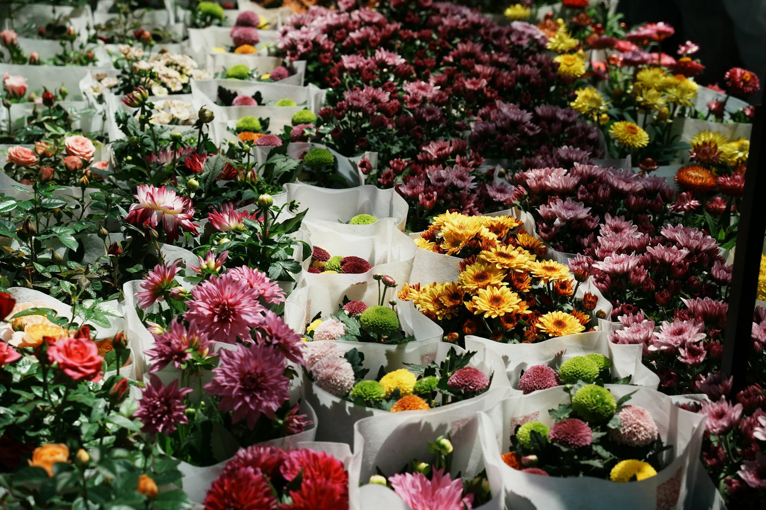 Grace Grace Garden ~ Flower Market 
