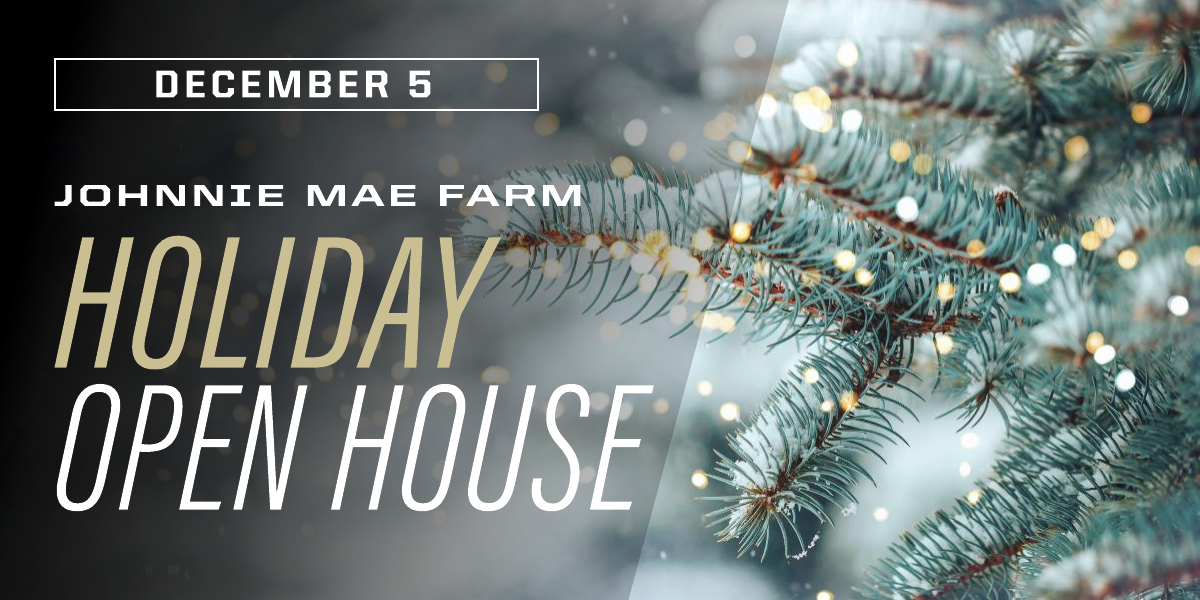 Holiday Open House