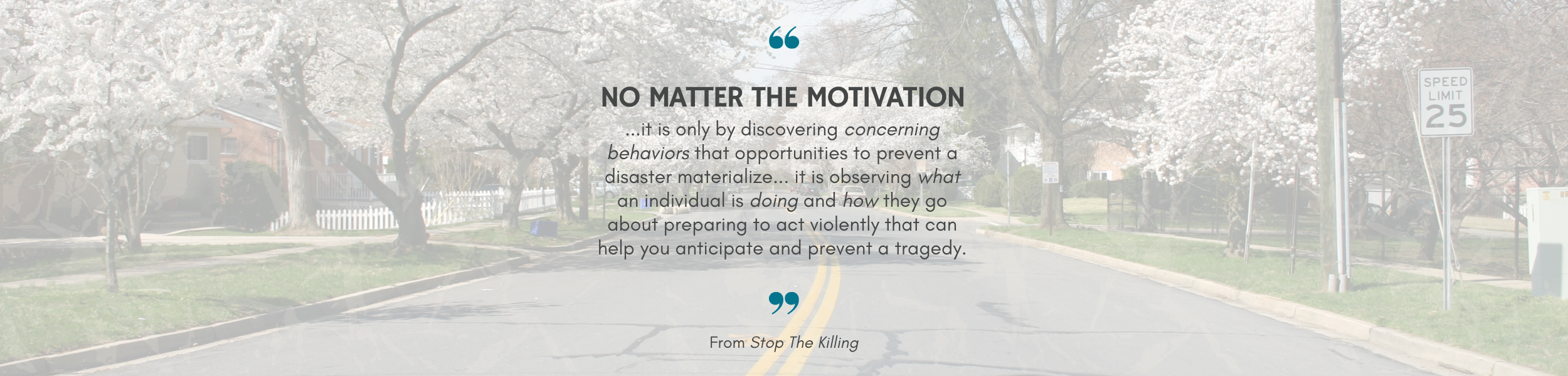 Website Header 1 2500x600 (12).png