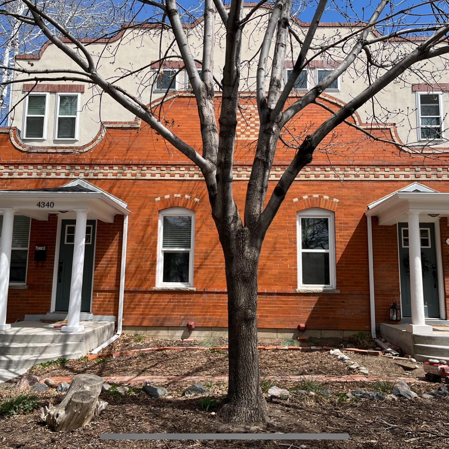 ✨ Garden Transformation ✨ 

We took the front garden of this chic 1910 duplex and turned it into a living portrait of its fun and stylish inhabitants. Swipe to behold the magic we created with a palette of shade plants and vibrant pollinators in our 