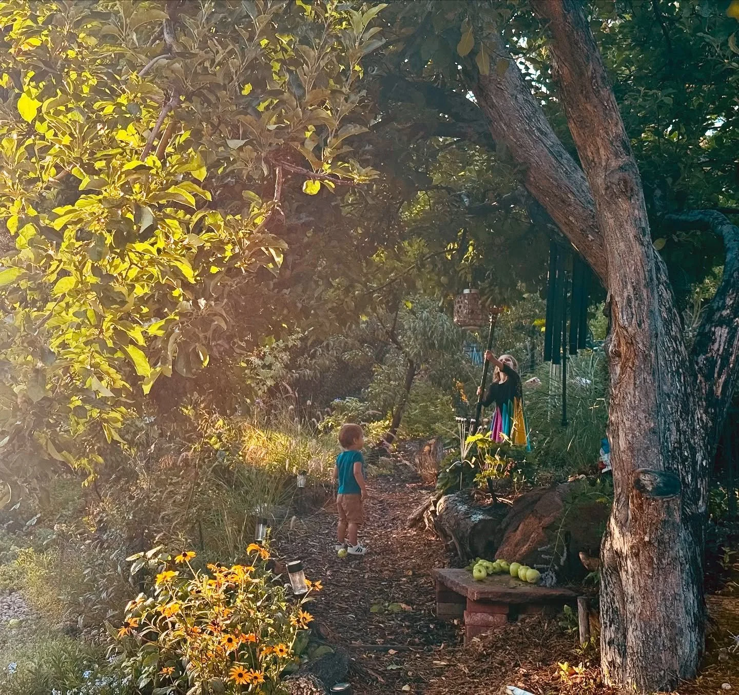 There&rsquo;s something magical about watching kids discover a garden.

In Nicole C.&rsquo;s studio garden, rescued from overgrown juniper and weeds, these little ones are collecting end of summer treasures. 

Gardens have this way of slowing us down
