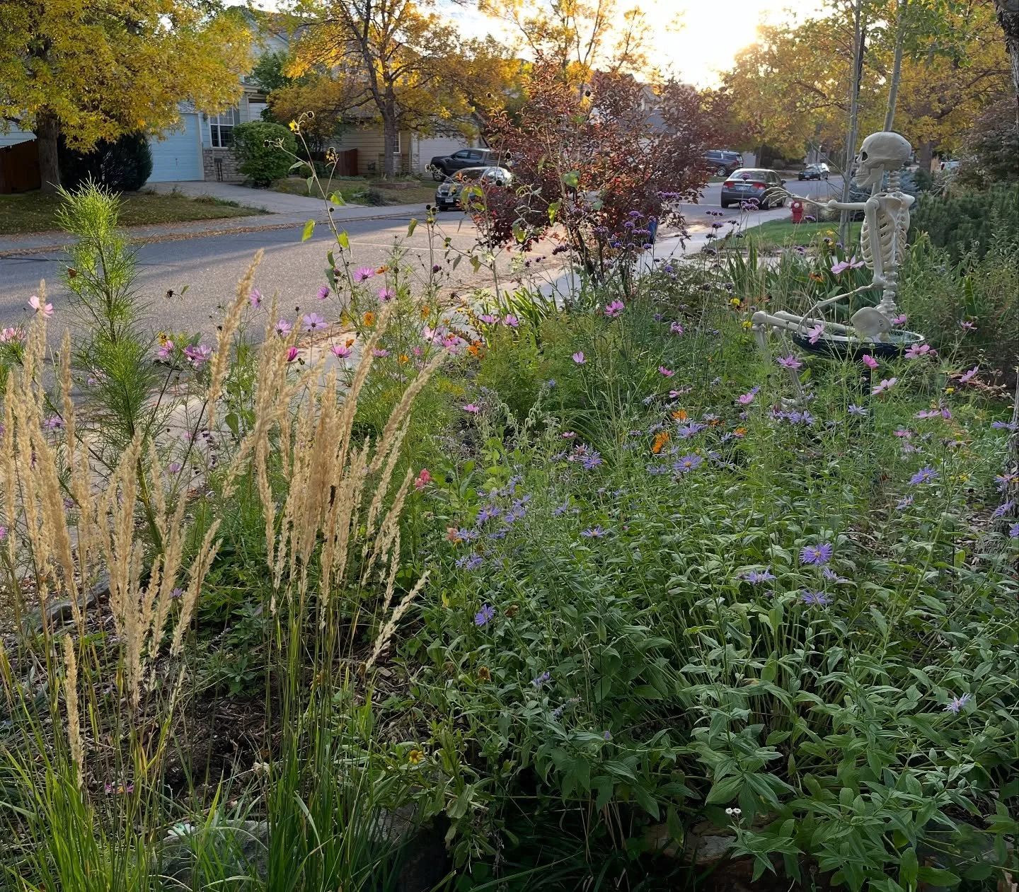 Fall cleanups that respect your garden.

Prepare your landscape for winter months. We cut back thoughtfully, protect soil health, and ensure your garden is set to thrive come spring. 

Book your fall cleanup today!

Serving Boulder and the Front Rang