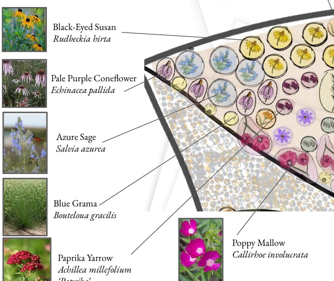 A sneak peek!

We&rsquo;re breaking ground on a new pollinator rain garden at @bouldercountyrecycles tomorrow!

This space will support local wildlife, filter rainwater, and connect people with nature.

But it&rsquo;s more than a garden, it&rsquo;s a
