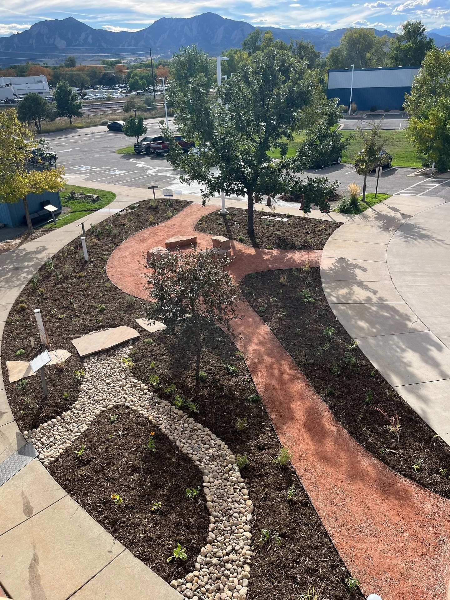 What was once turf is now a vibrant, water-wise landscape, fully planted and ready to grow! Every plant is in the ground, (and so thankful to be out of its pot😂) and already inviting insects back into this restored space.

A huge thank you to the @b